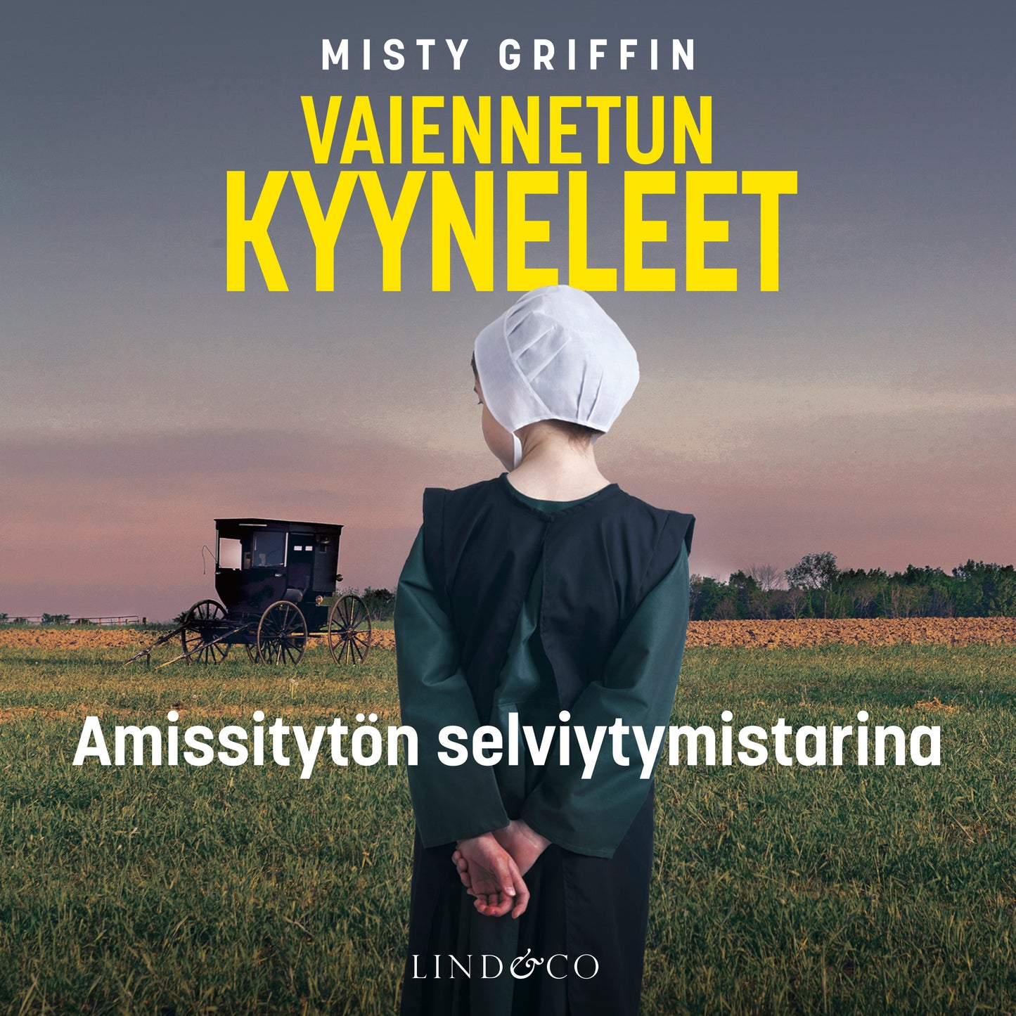 Vaiennetun kyyneleet – Ljudbok