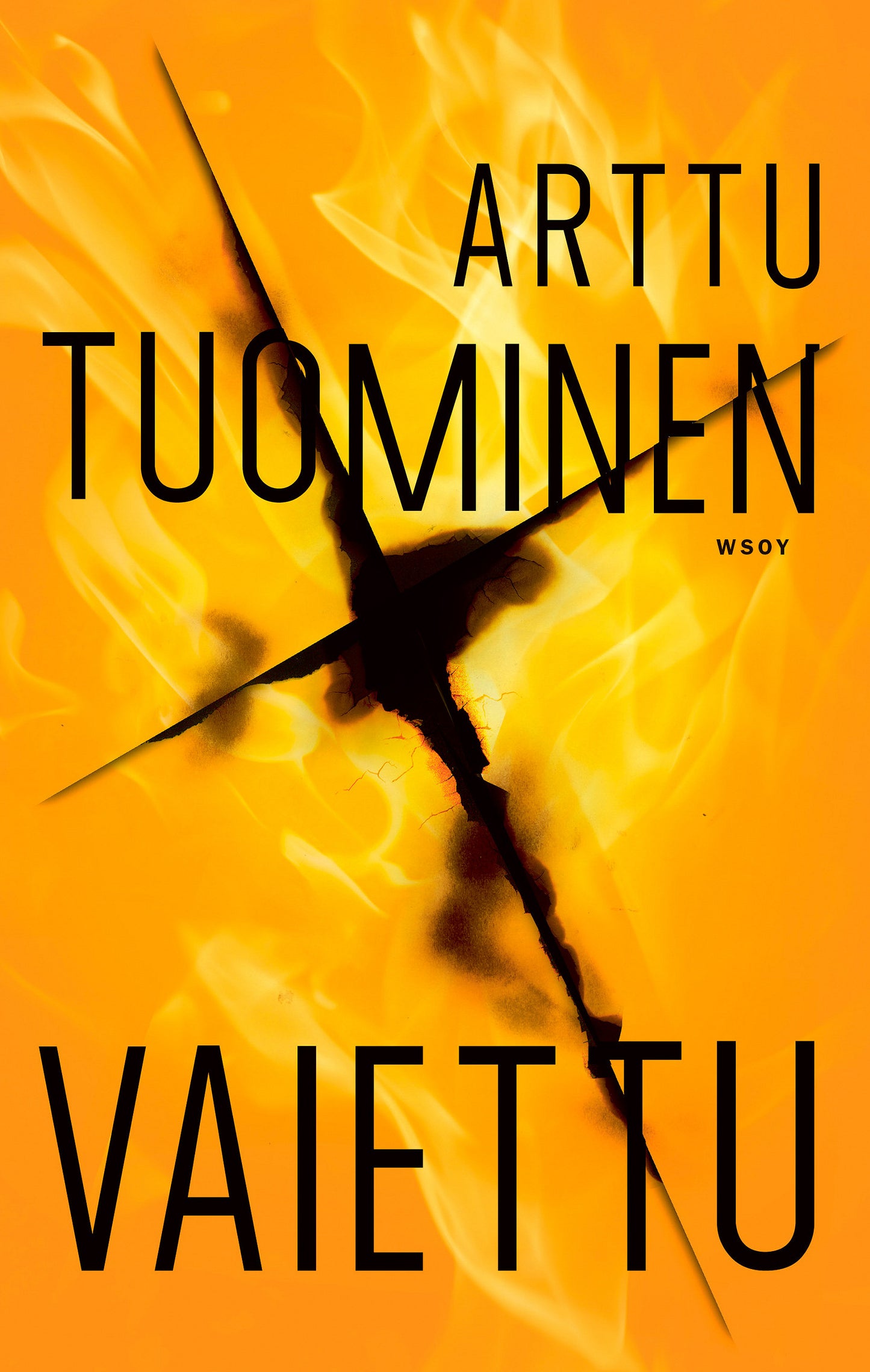 Vaiettu – E-bok
