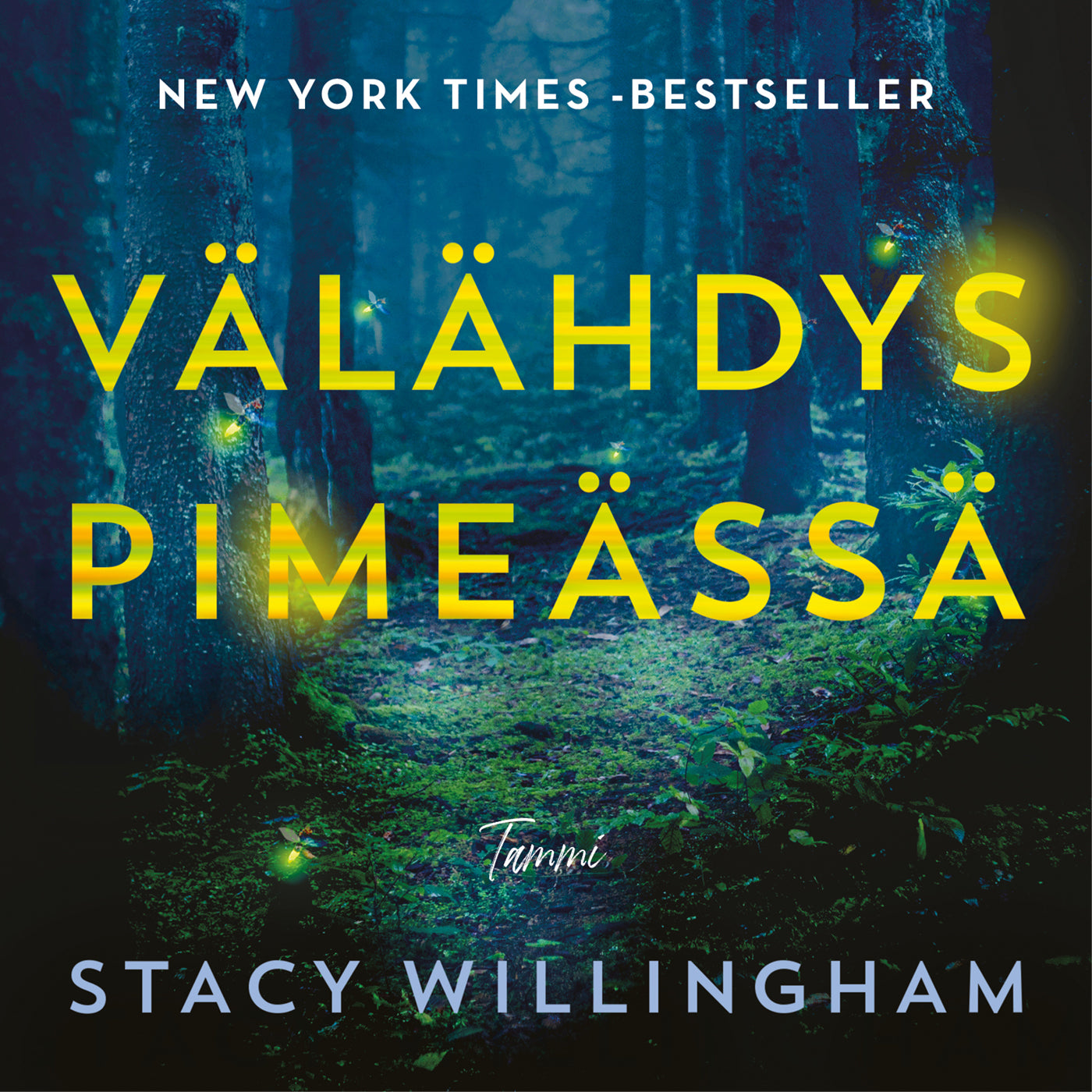Välähdys pimeässä – Ljudbok