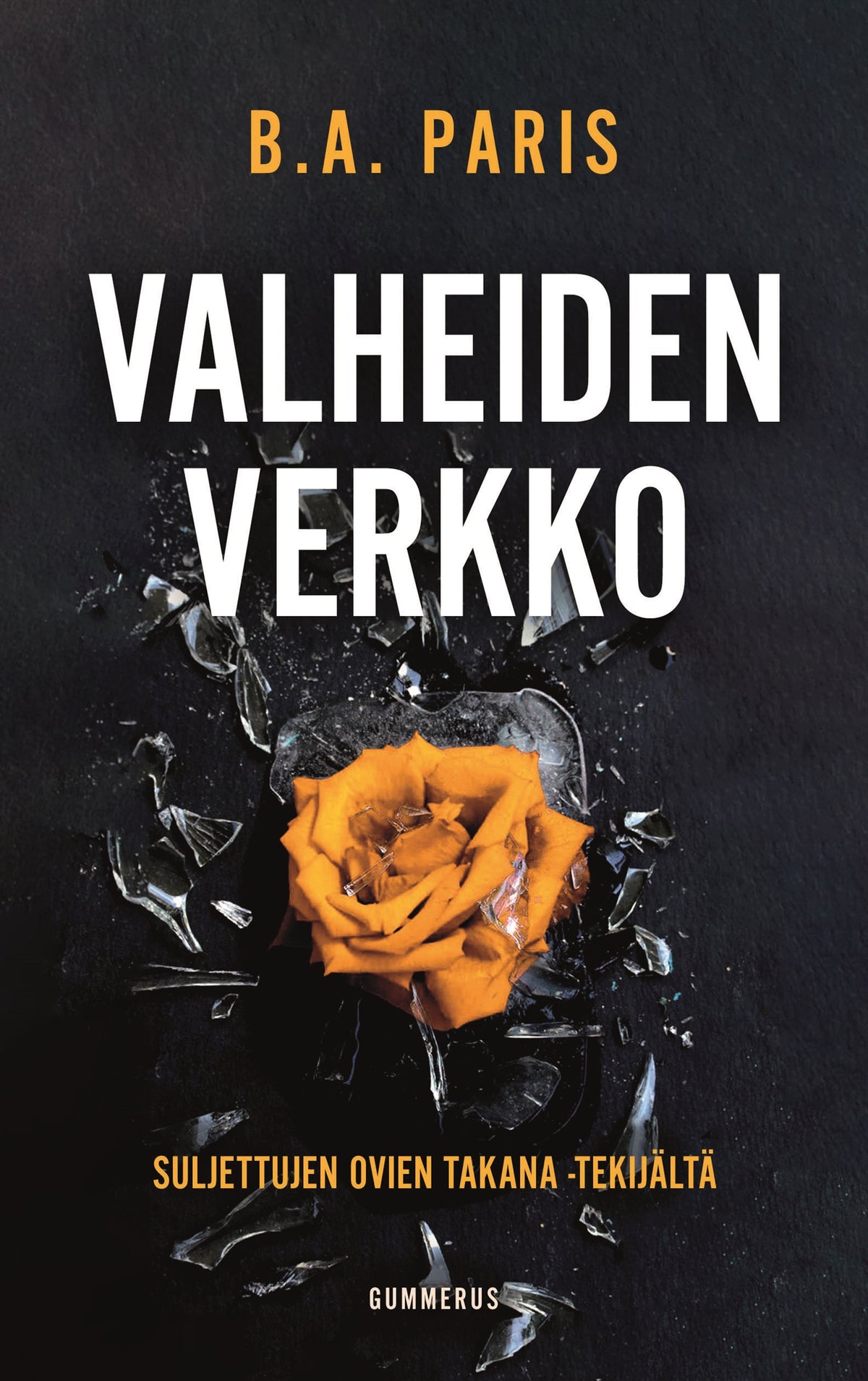 Valheiden verkko – E-bok