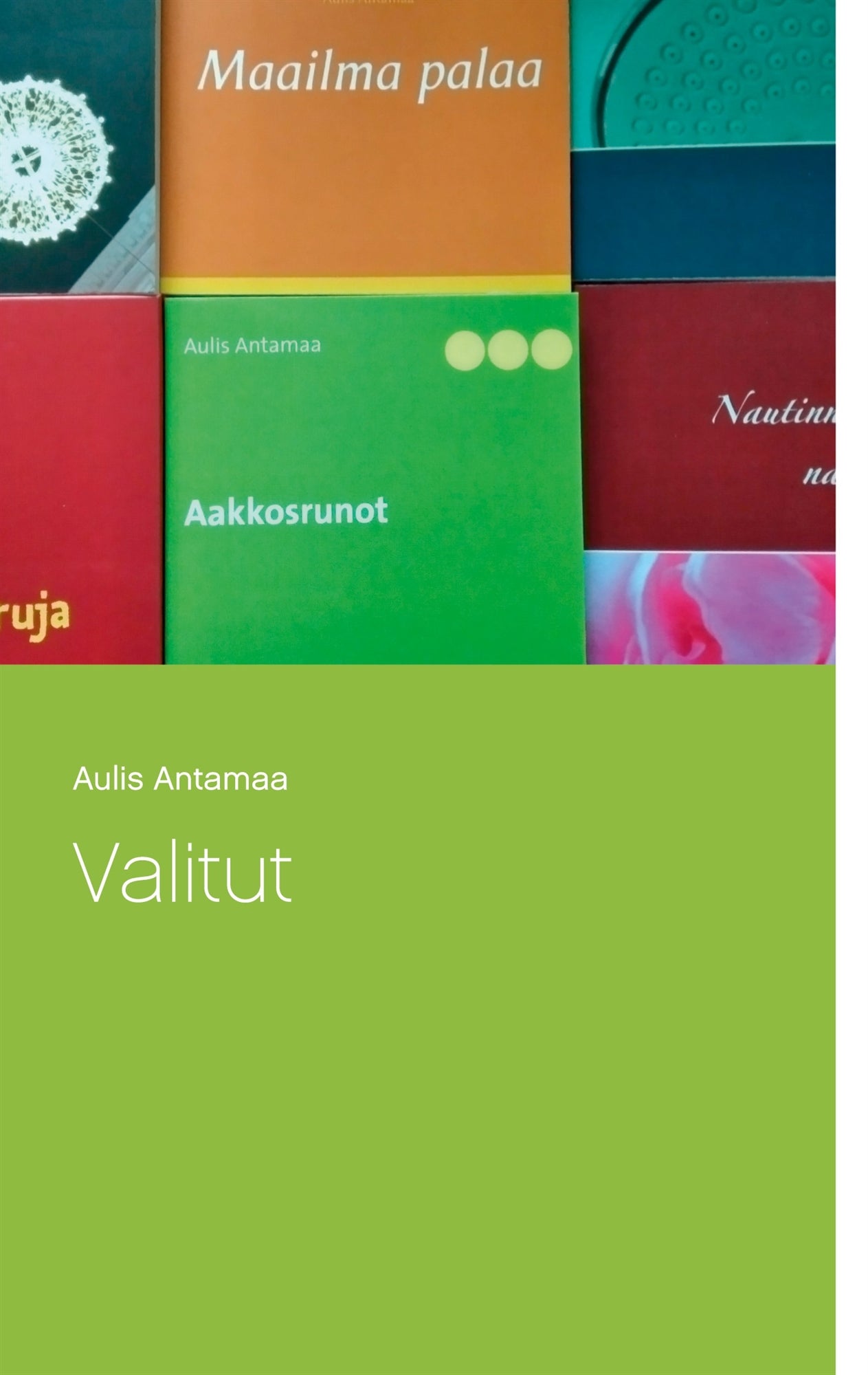 Valitut – E-bok