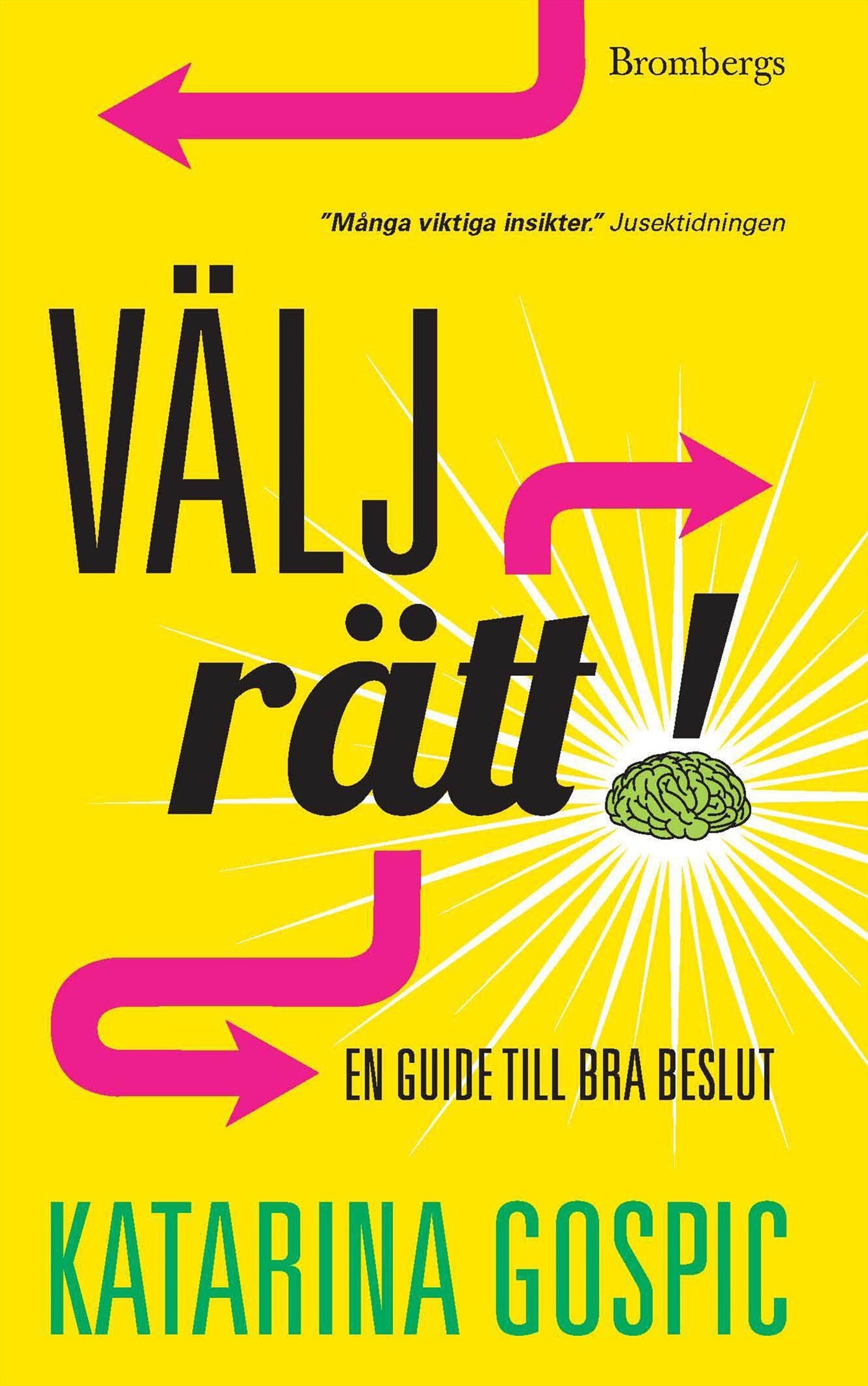Välj rätt! : en guide till bra beslut – E-bok