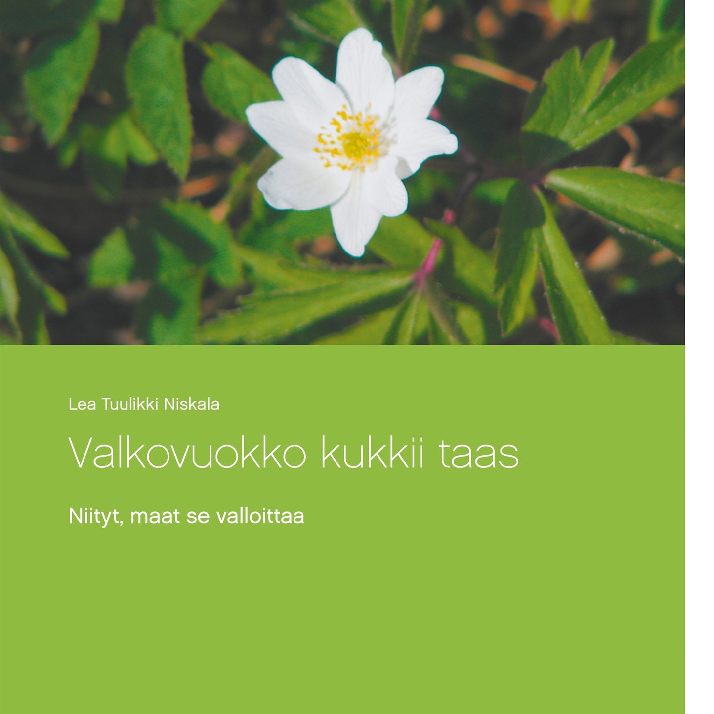 Valkovuokko kukkii taas: Niityt, maat se valloittaa – E-bok