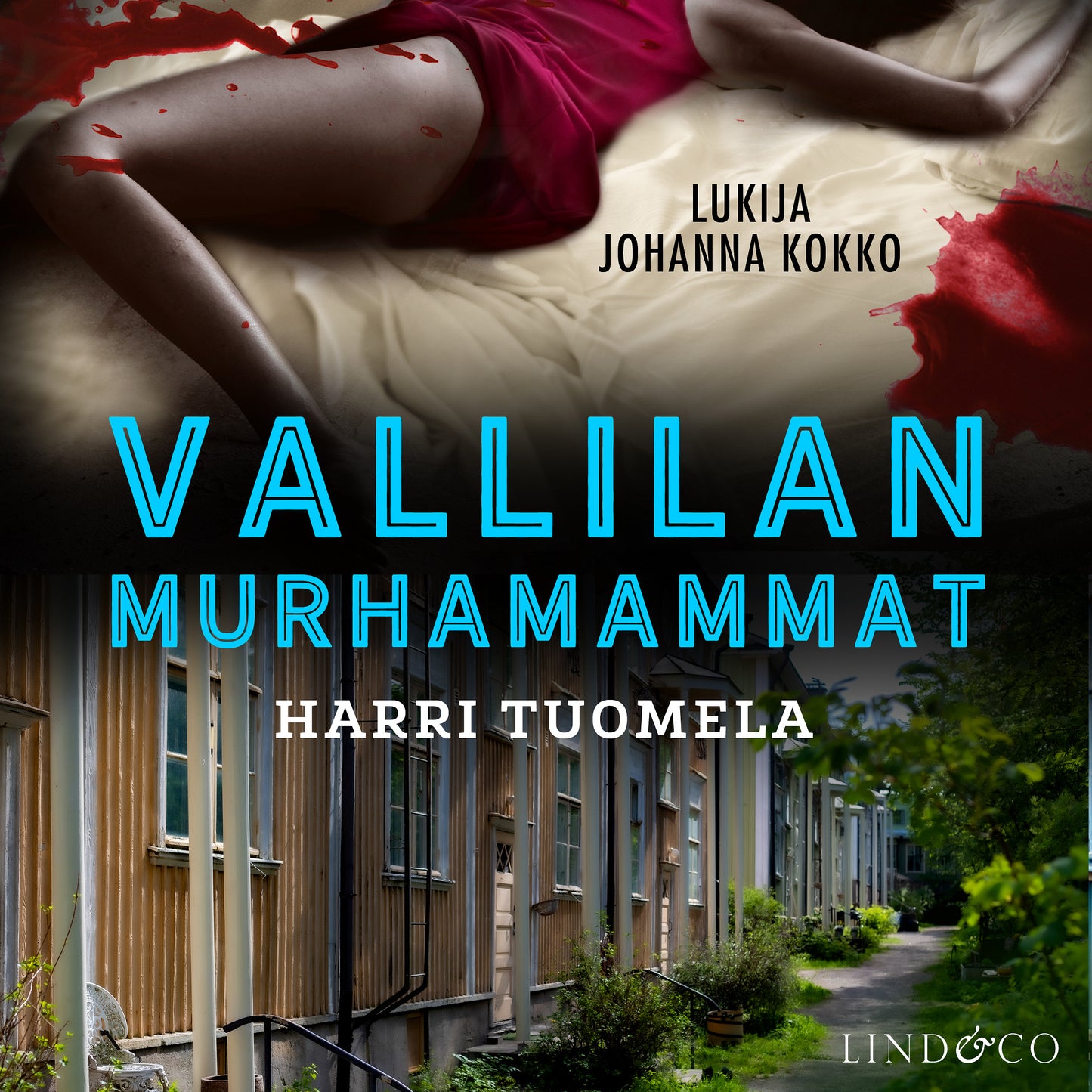 Vallilan murhammammat – Ljudbok