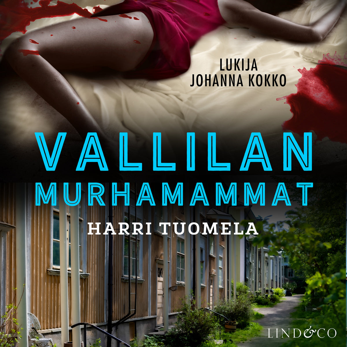 Vallilan murhammammat – Ljudbok