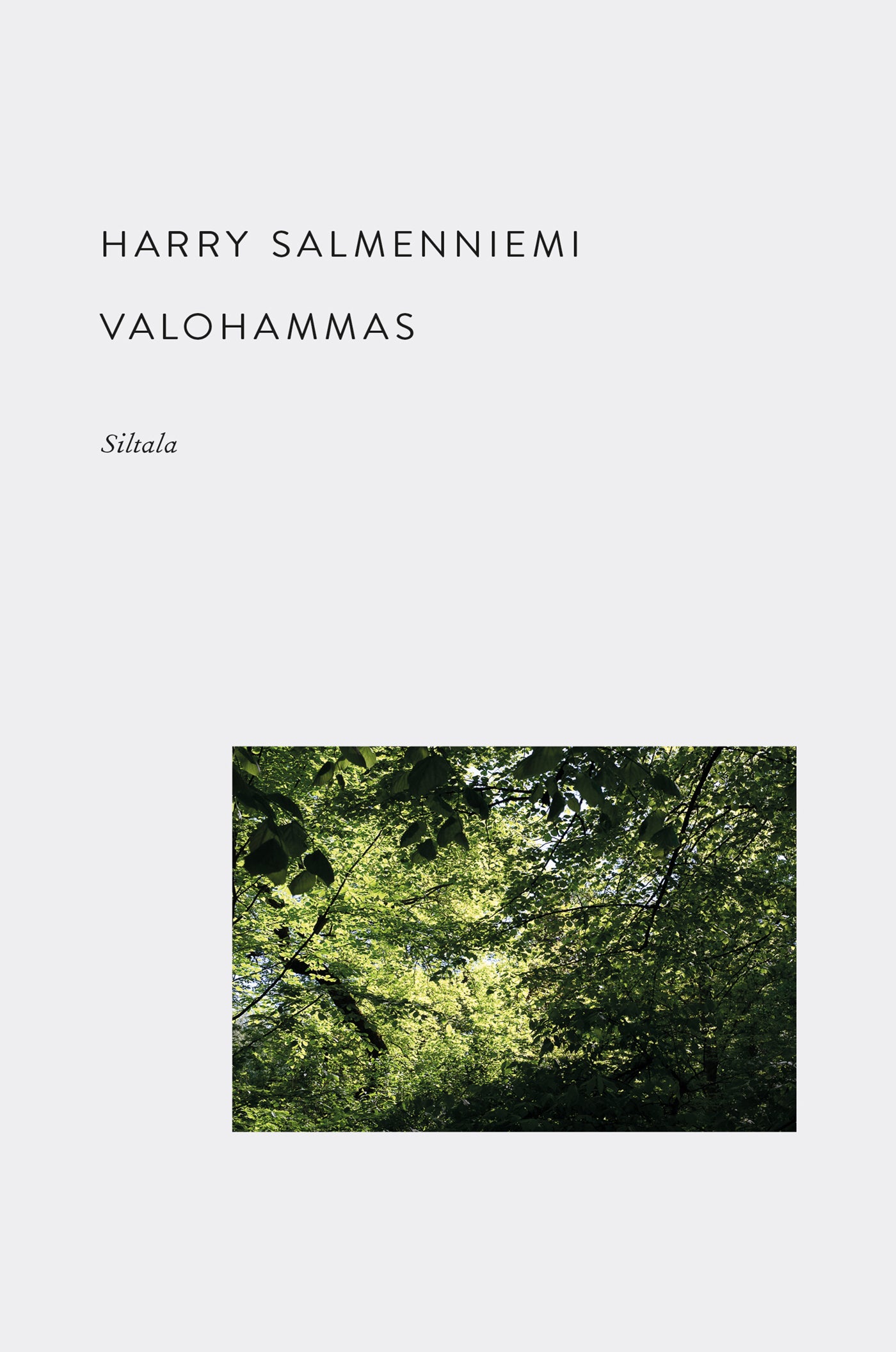 Valohammas – E-bok