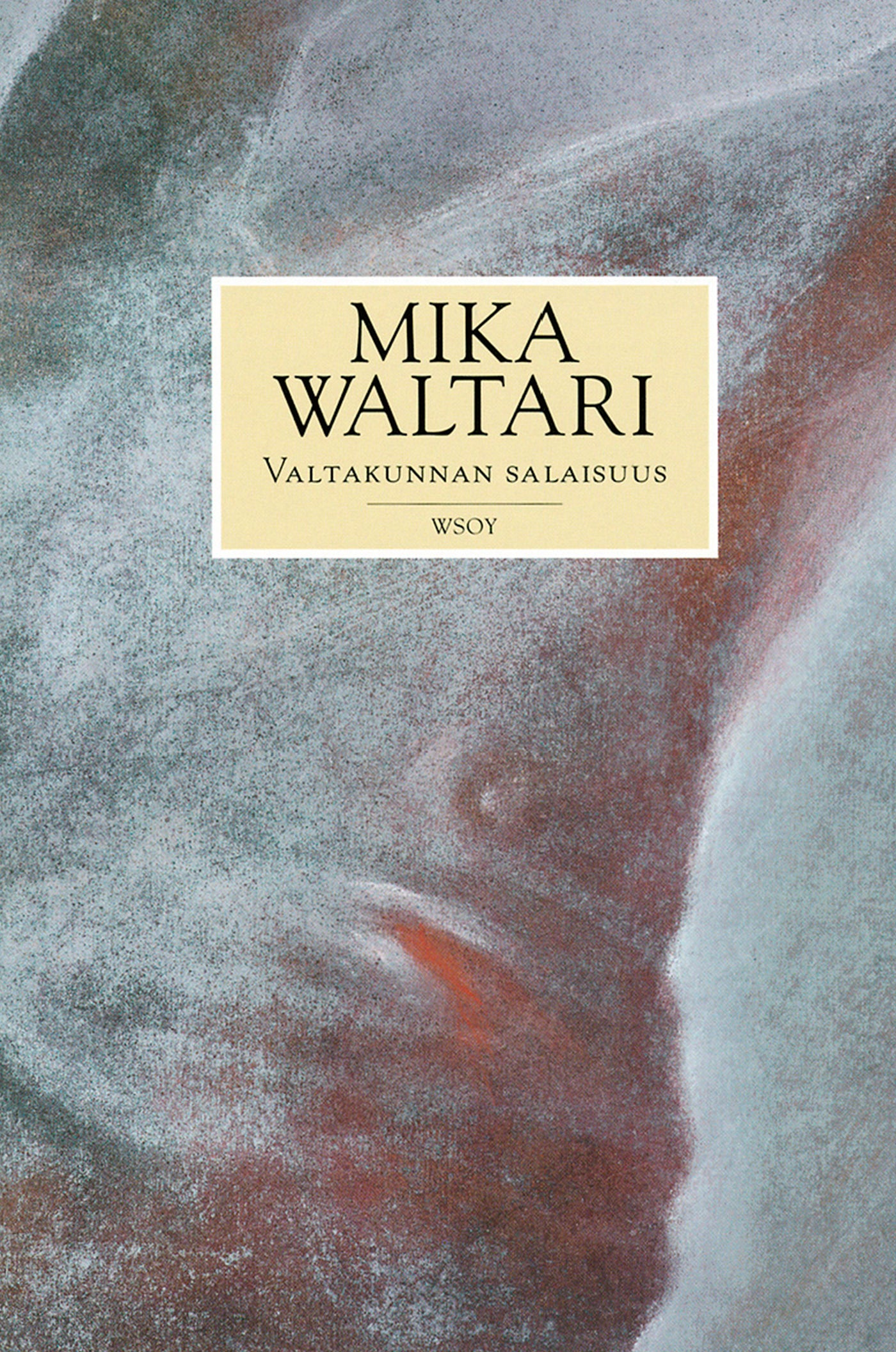 Valtakunnan salaisuus – E-bok