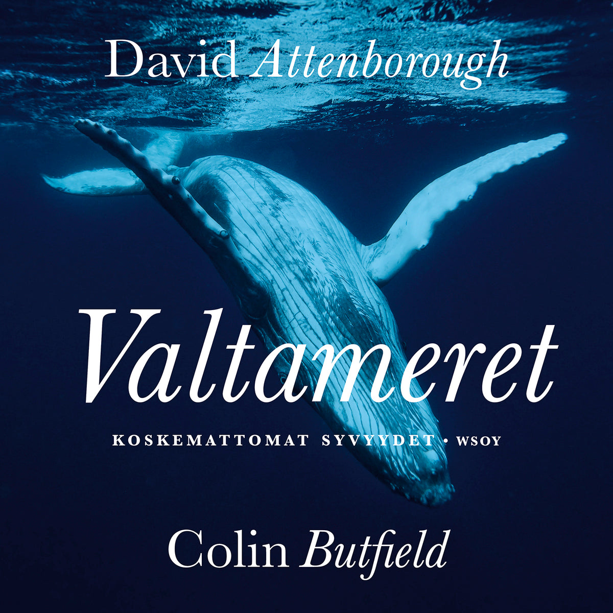 Valtameret – Ljudbok