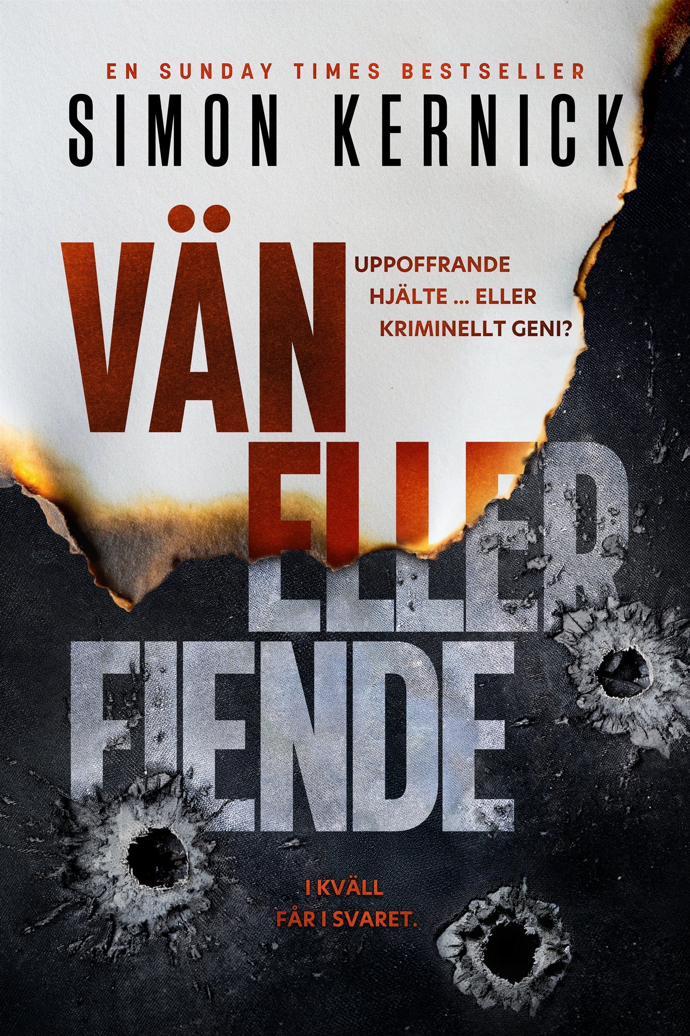 Vän eller fiende – E-bok