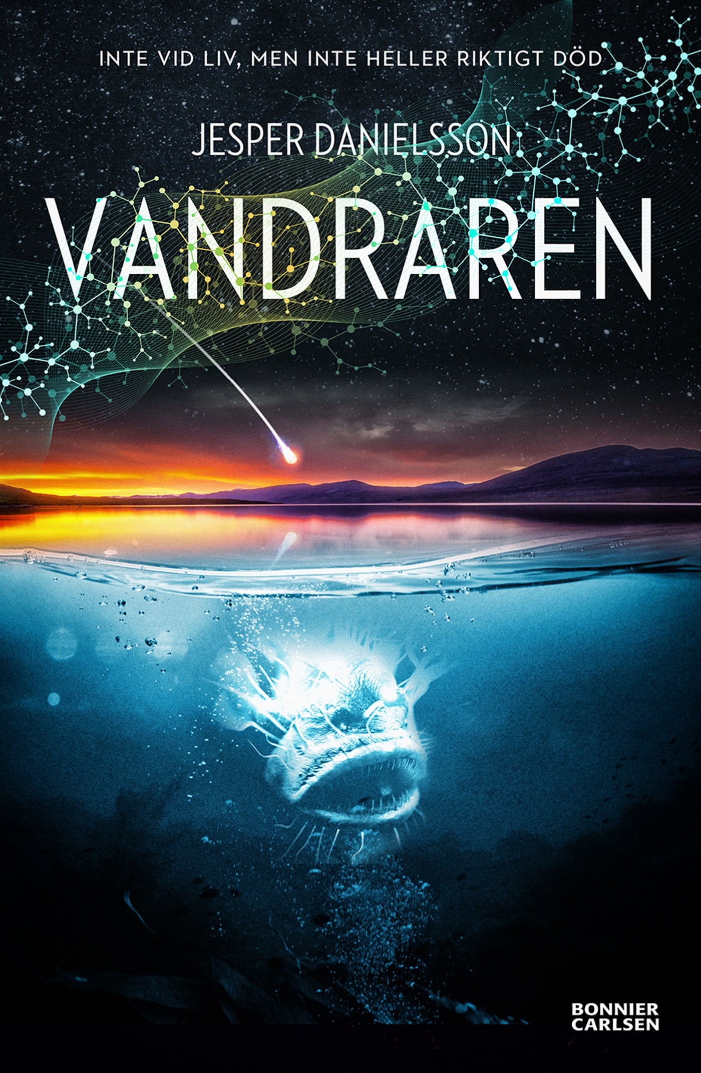 Vandraren – E-bok
