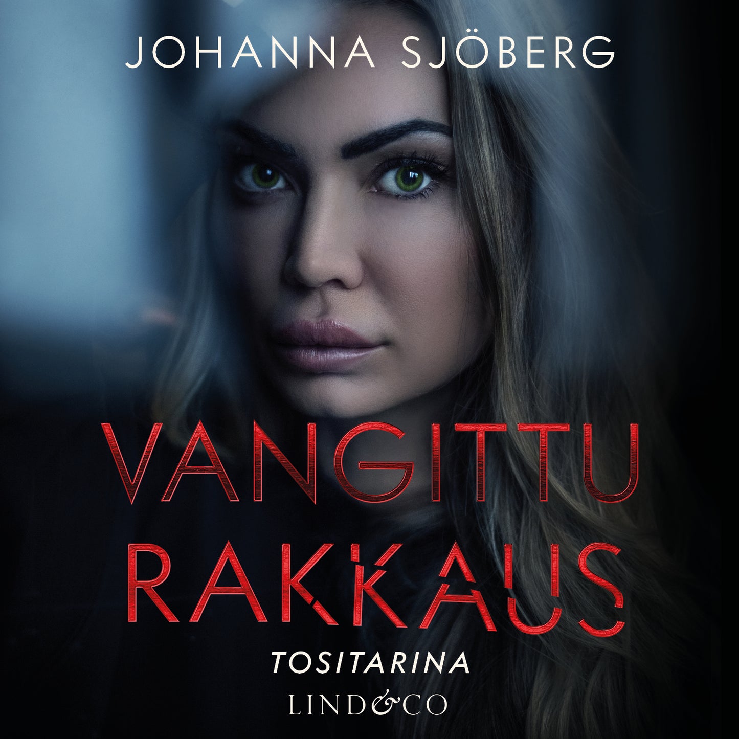 Vangittu rakkaus – Ljudbok
