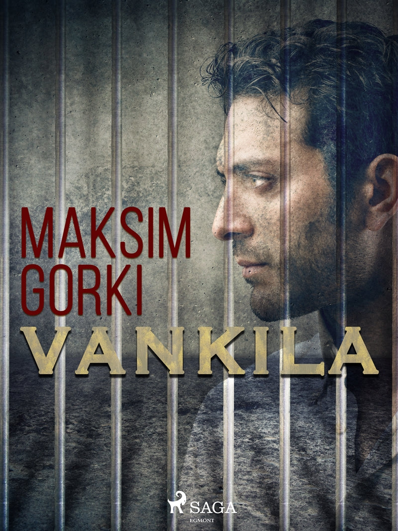 Vankila – E-bok