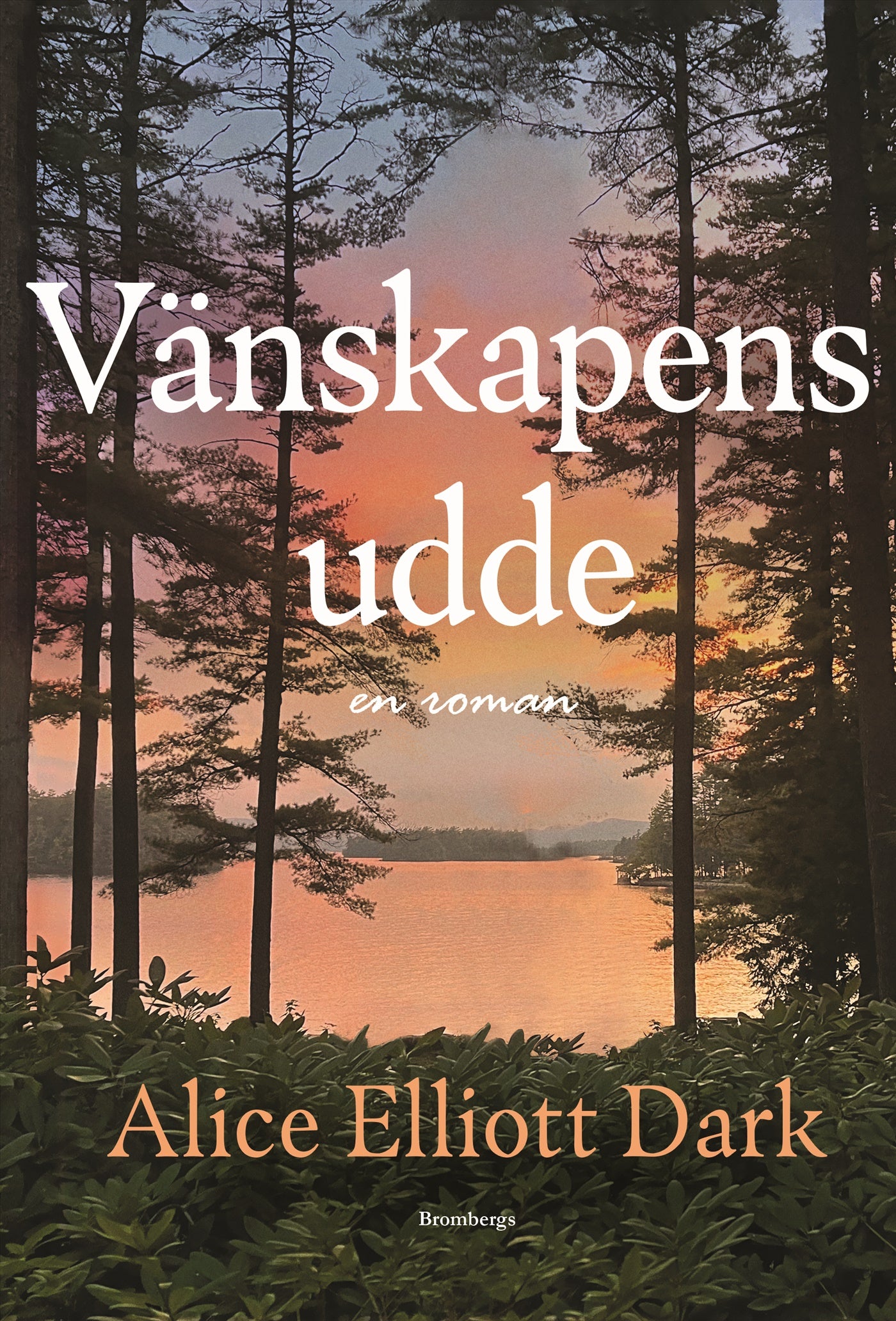 Vänskapens udde – E-bok