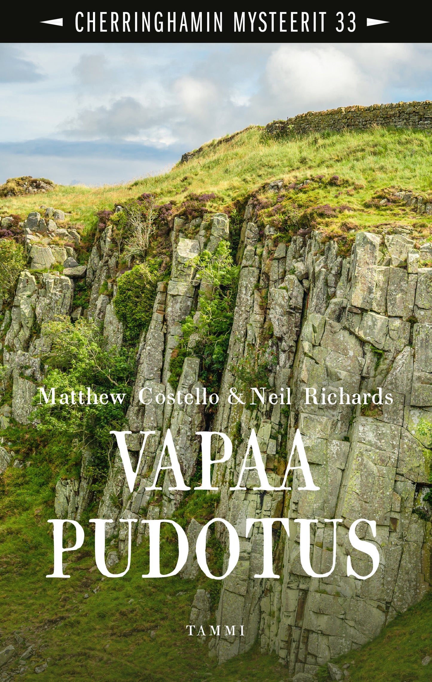 Vapaa pudotus – E-bok