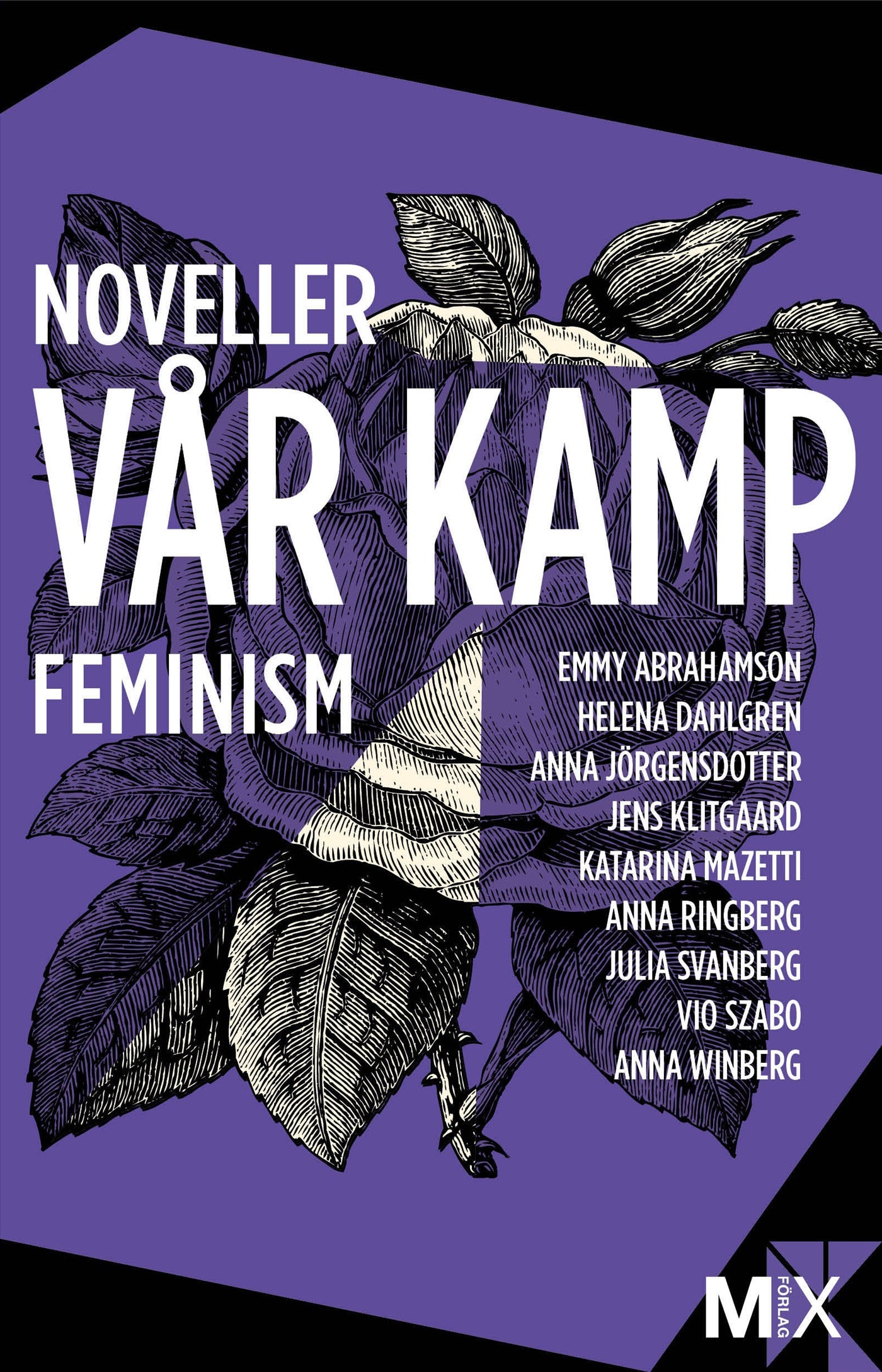Vår kamp : feministiska noveller – E-bok