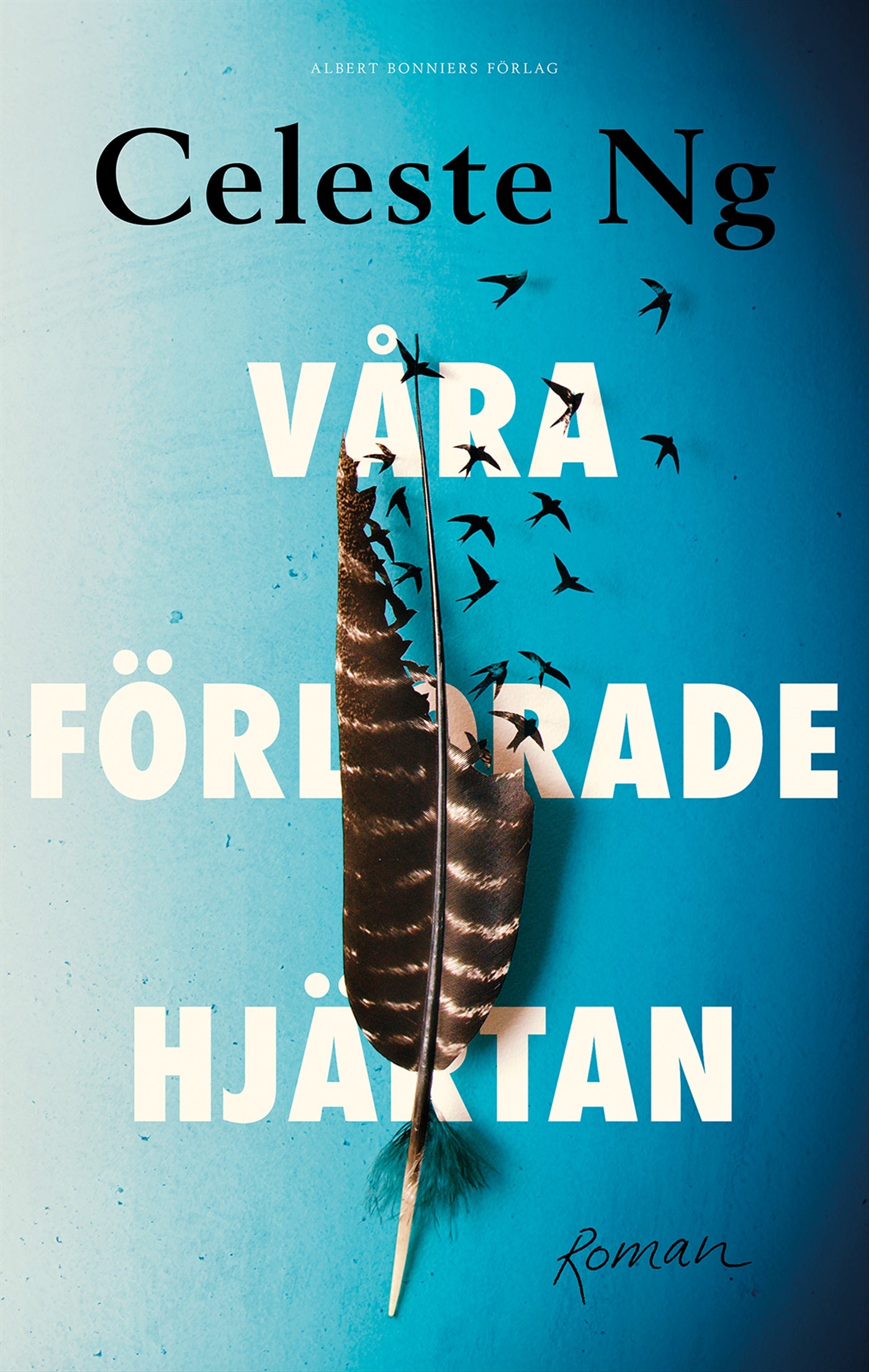 Våra förlorade hjärtan – E-bok