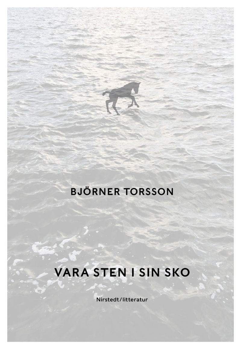 Vara sten i sin sko – E-bok
