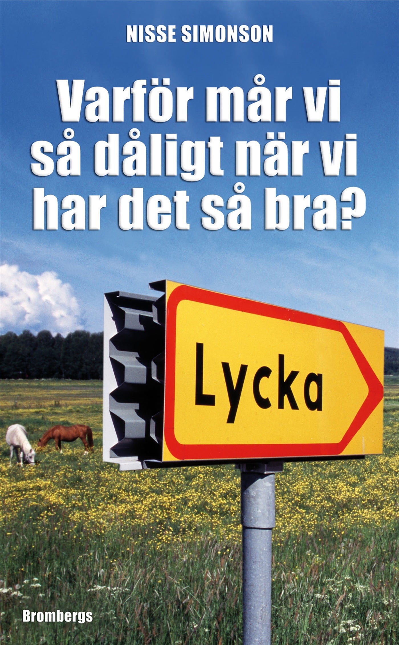 Varför mår vi så dåligt när vi har det så bra? – E-bok
