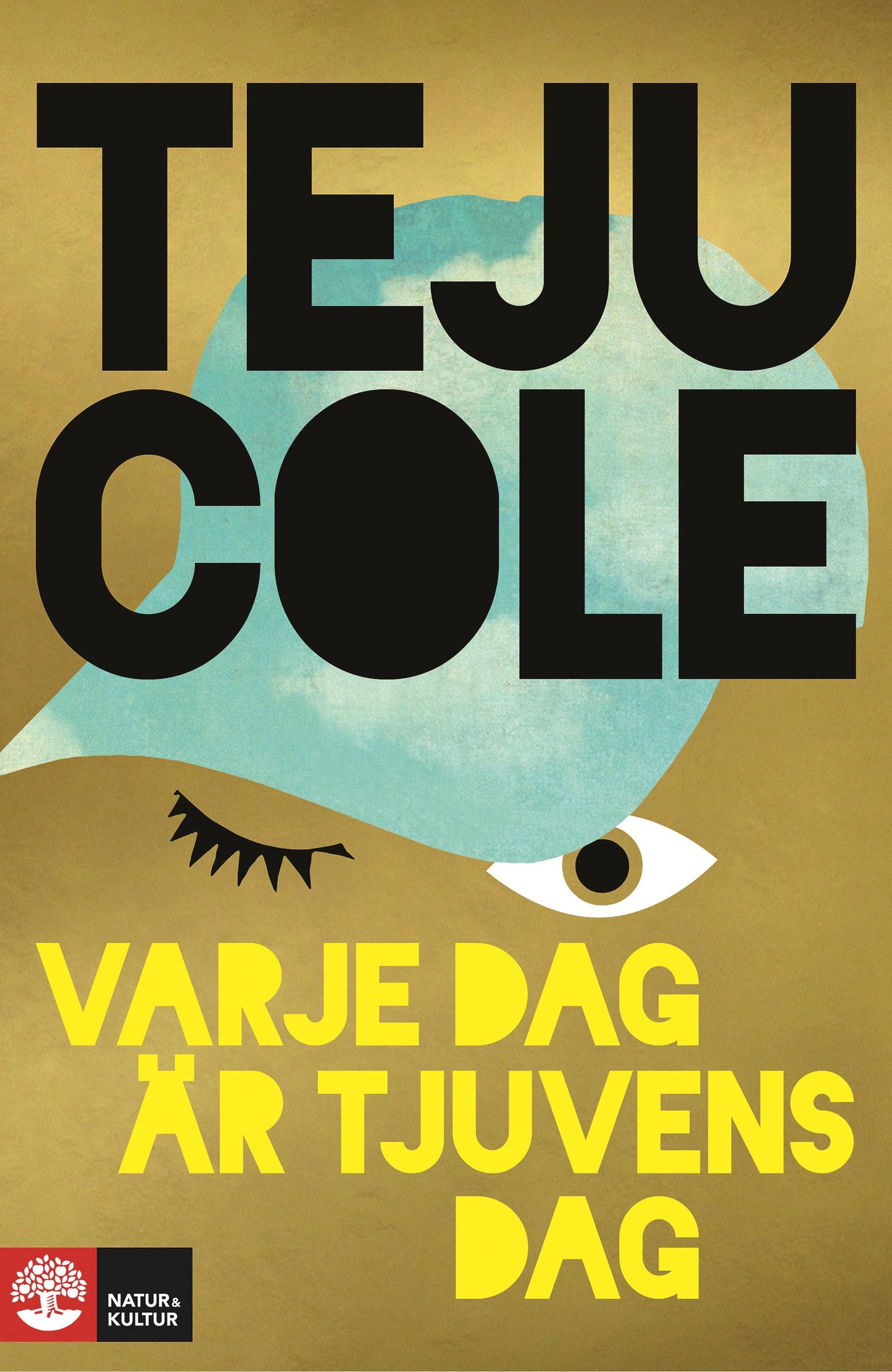 Varje dag är tjuvens dag – E-bok
