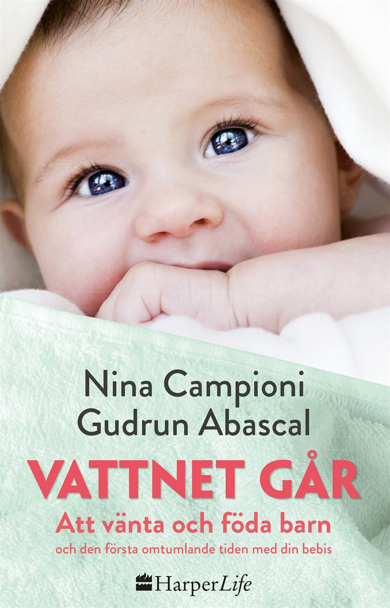 Vattnet går – E-bok