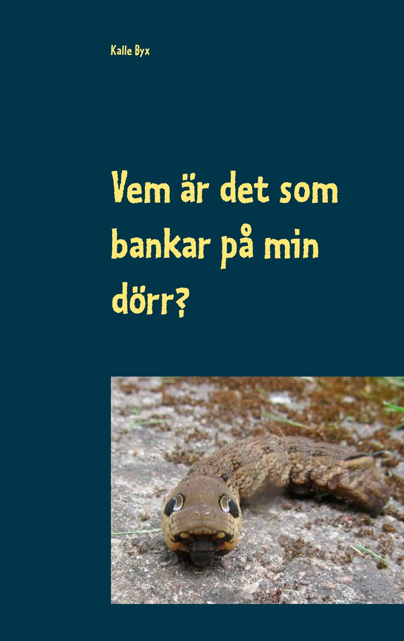 Vem är det som bankar på min dörr? – E-bok