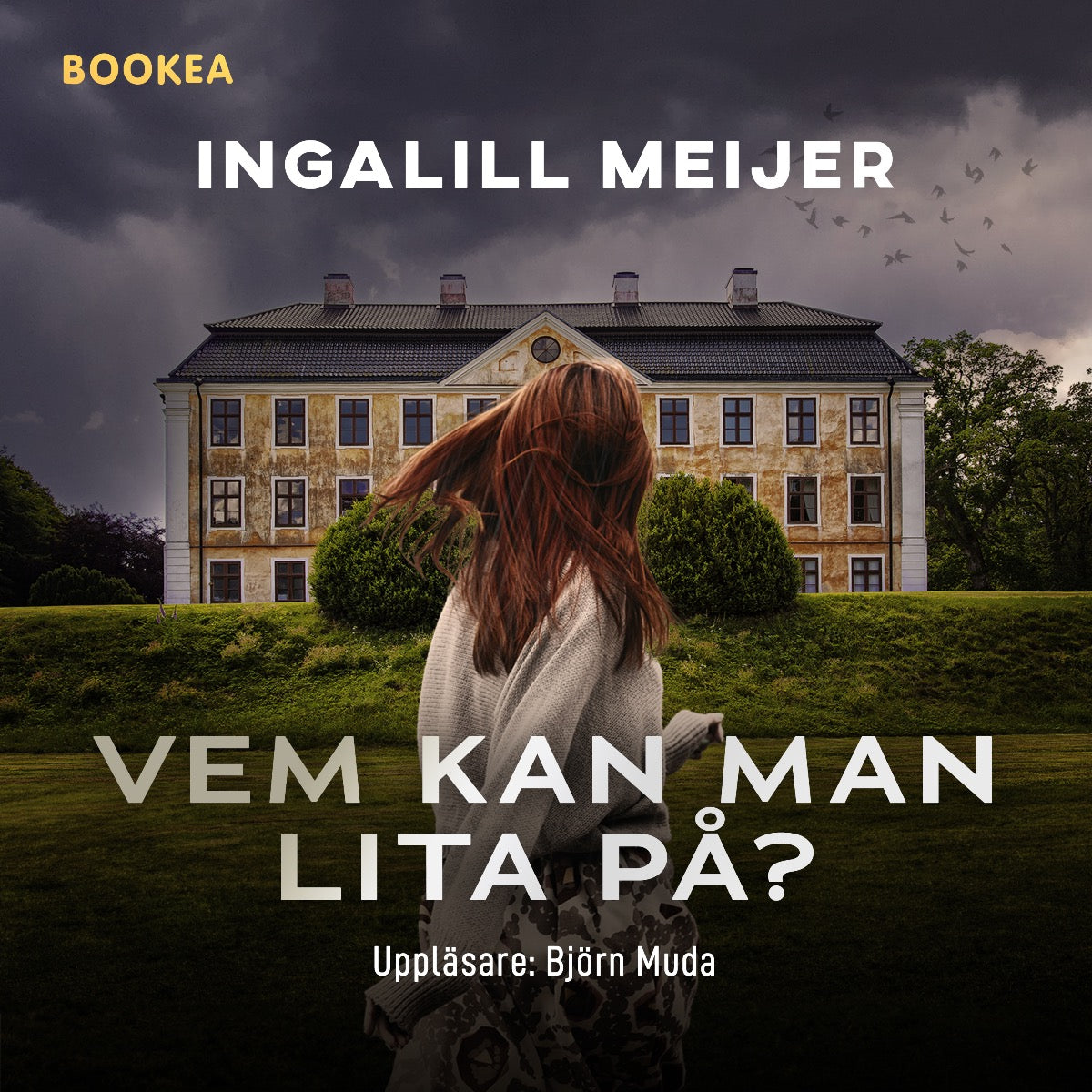 Vem kan man lita på? – Ljudbok