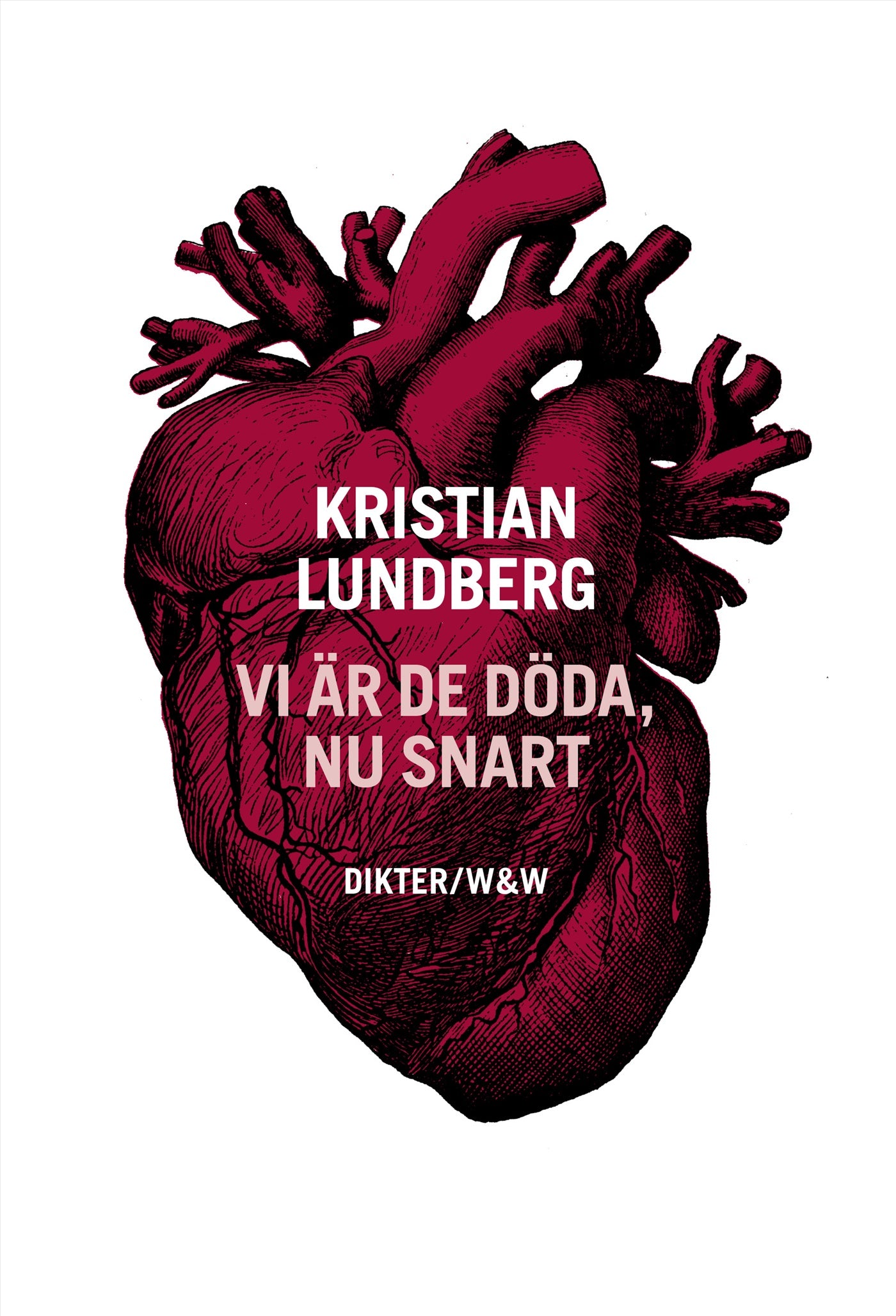Vi är de döda, nu snart – E-bok