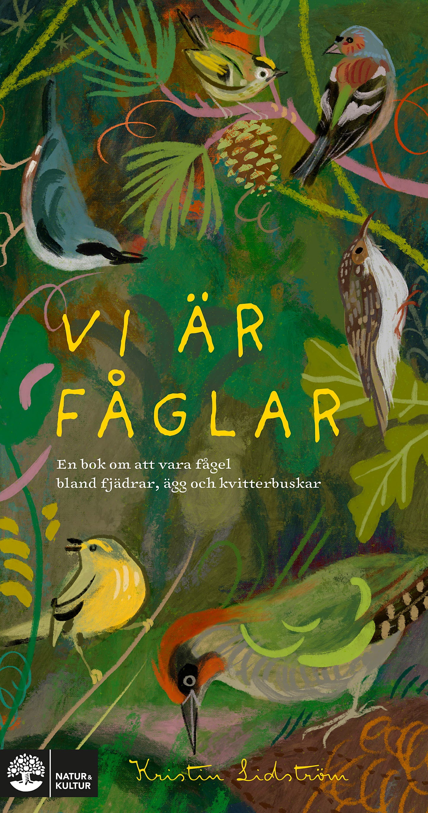 Vi är fåglar : En bok om att vara fågel bland fjädrar, ägg och kvitterbuskar – E-bok
