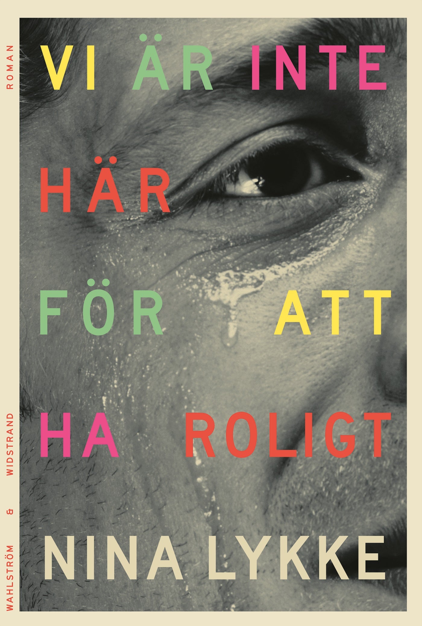 Vi är inte här för att ha roligt – E-bok