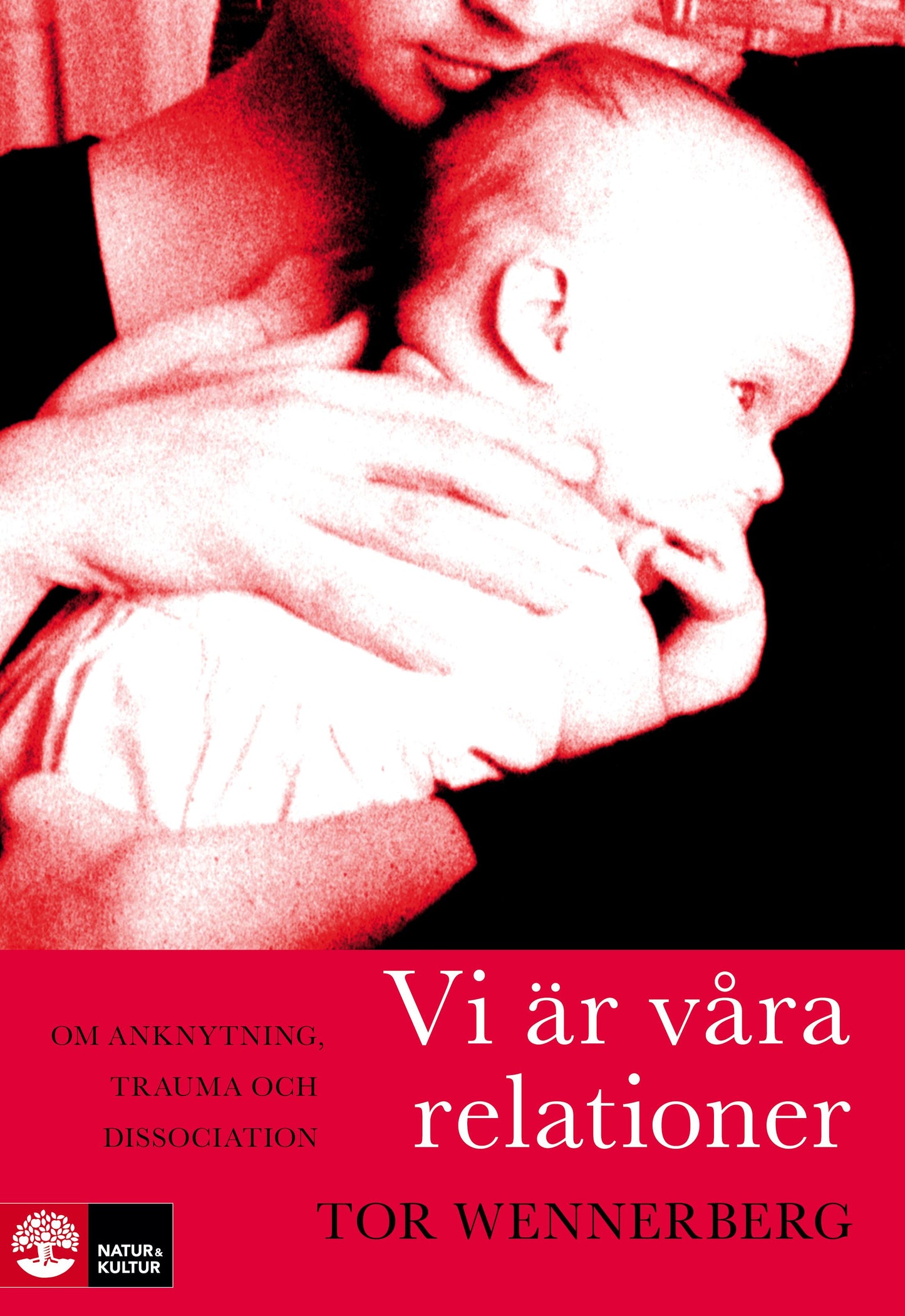 Vi är våra relationer : om anknytning, trauma och dissociation – E-bok
