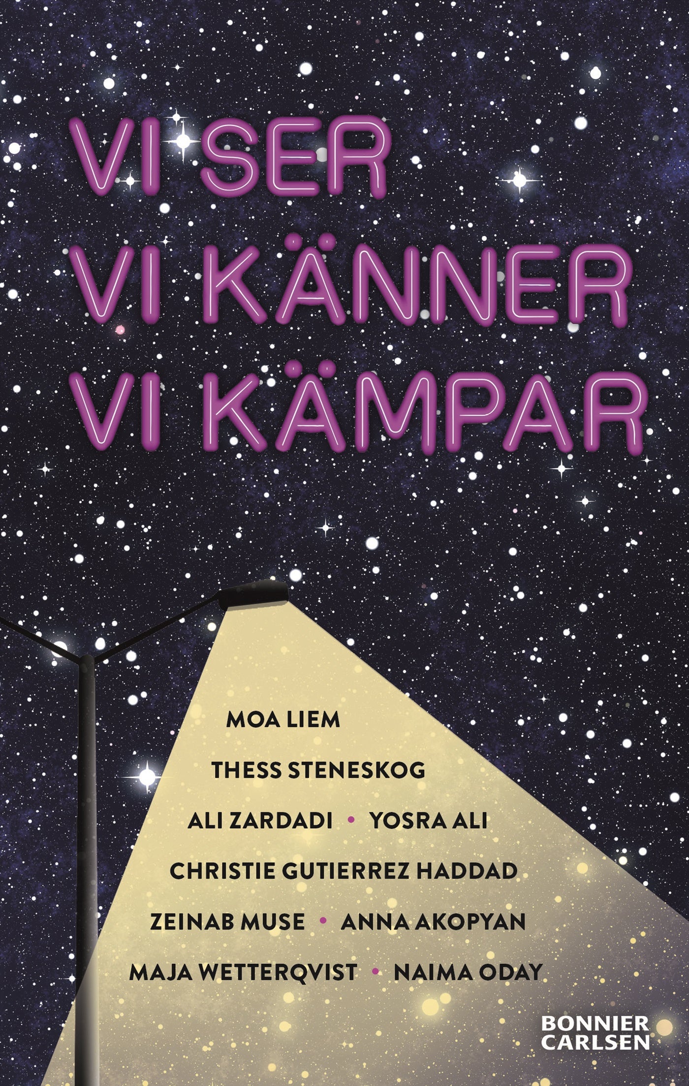 Vi ser, vi känner, vi kämpar – E-bok
