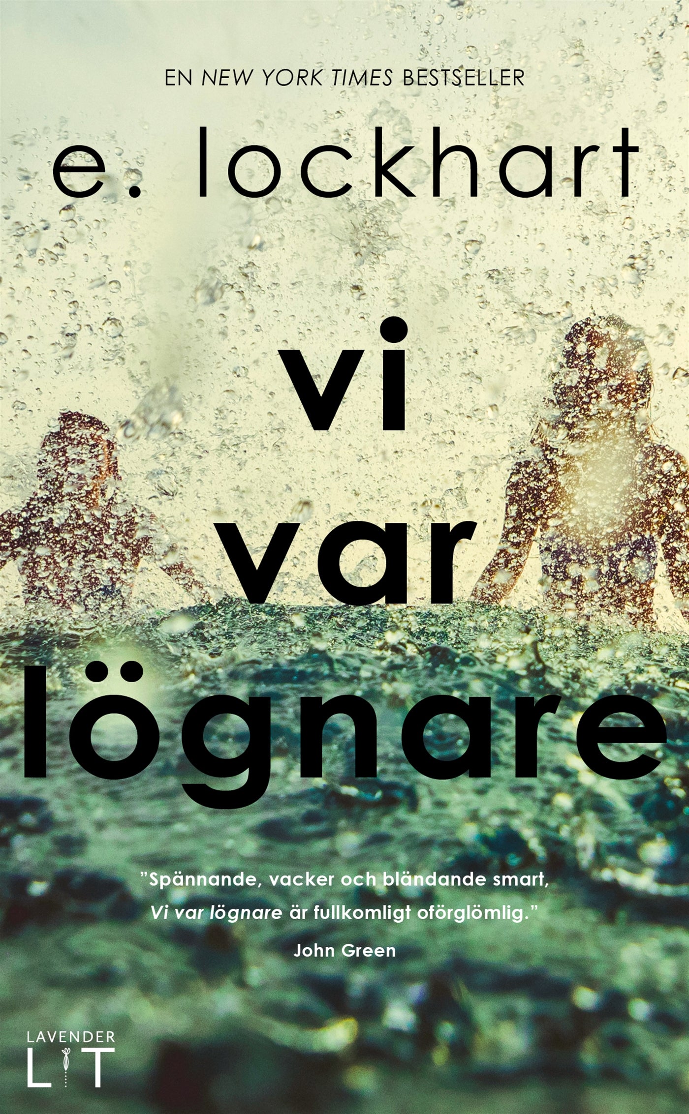 Vi var lögnare – E-bok