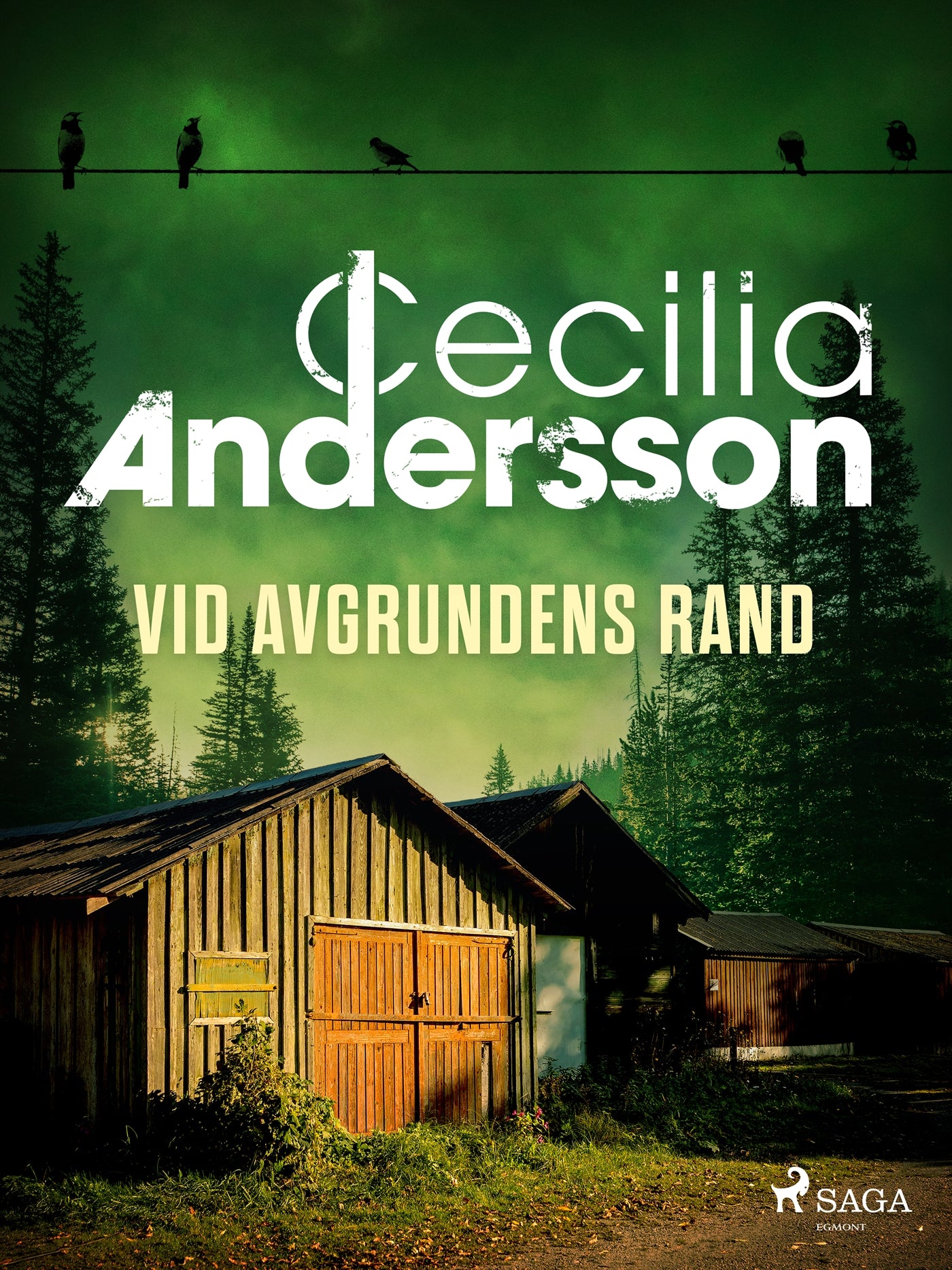 Vid avgrundens rand – E-bok