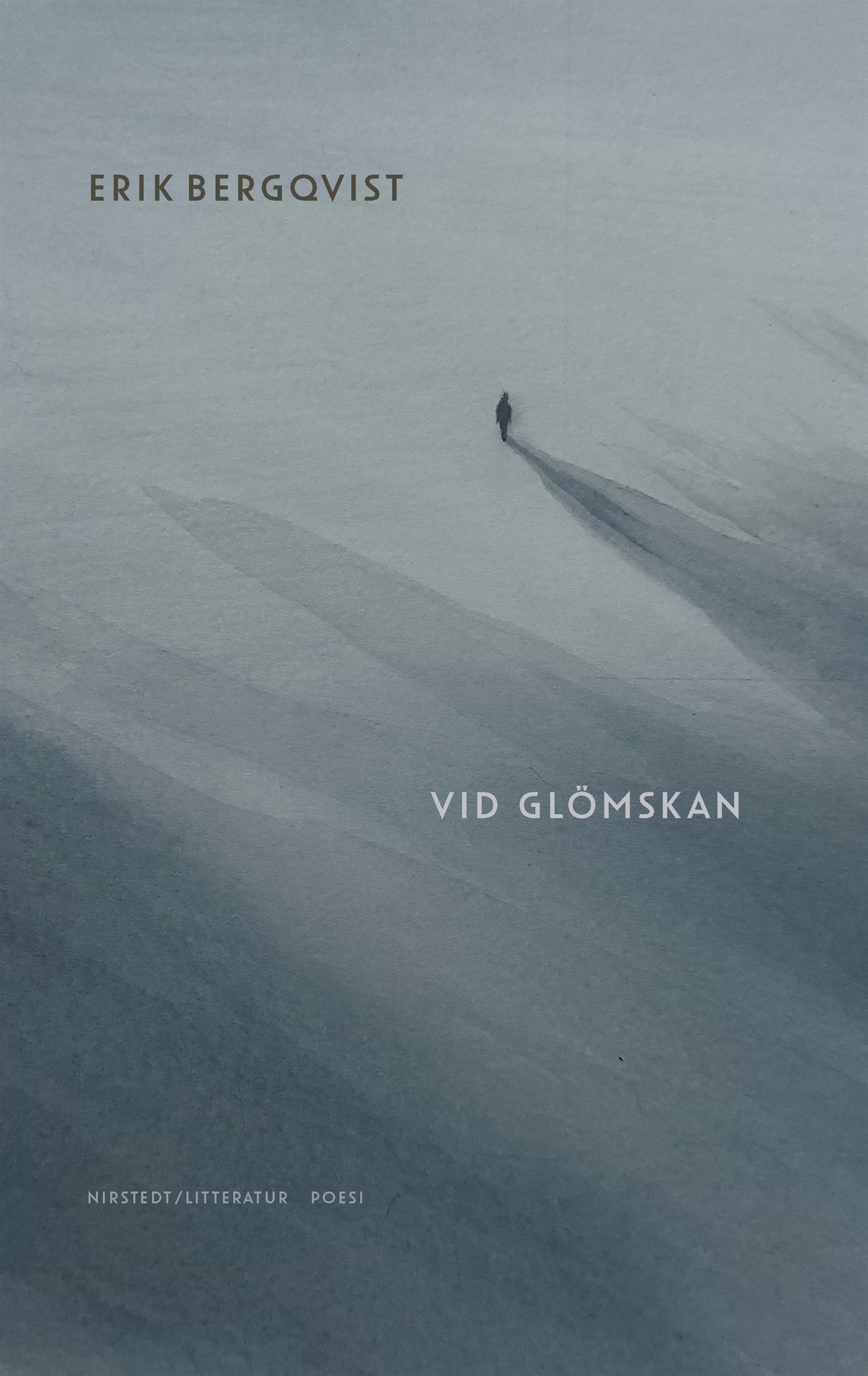 Vid glömskan – E-bok