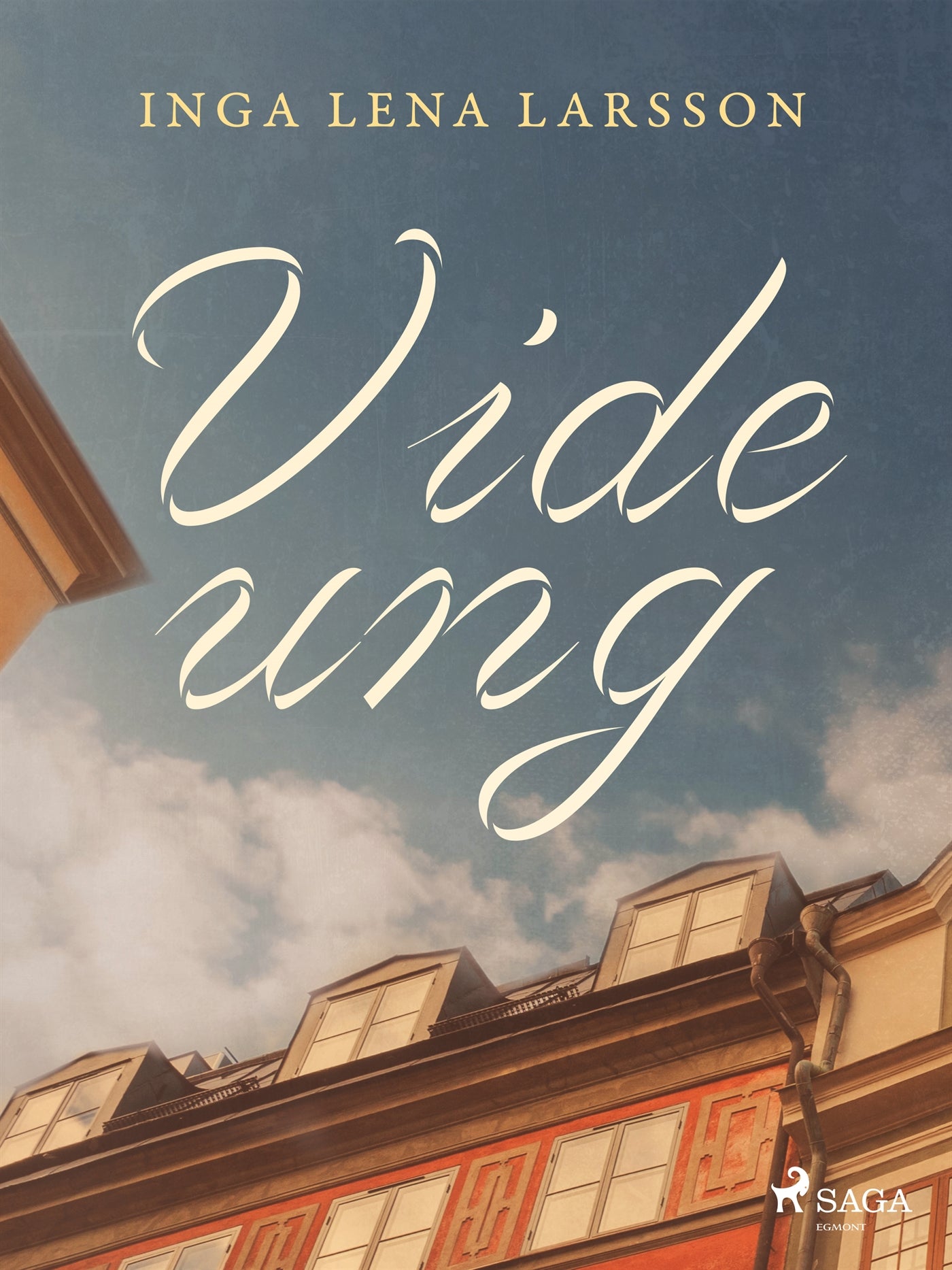 Vide ung – E-bok