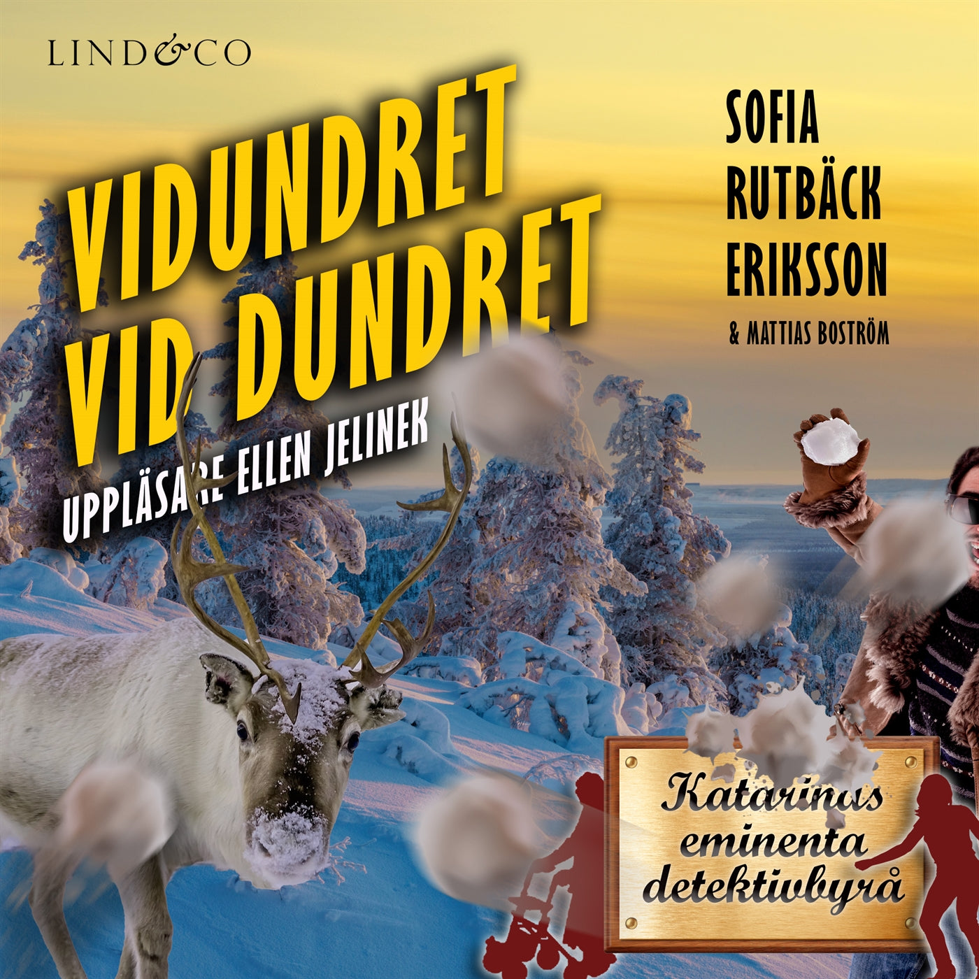 Vidundret vid Dundret – Ljudbok