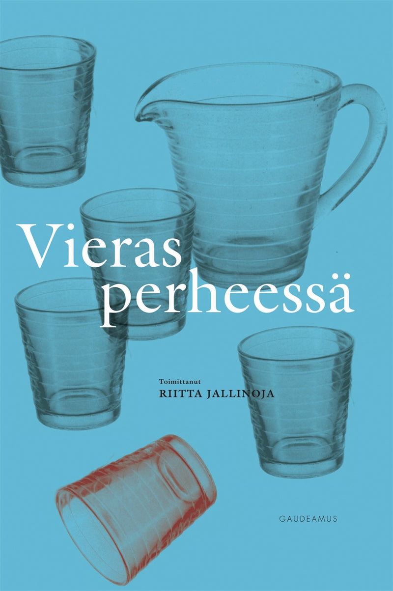 Vieras perheessä – E-bok