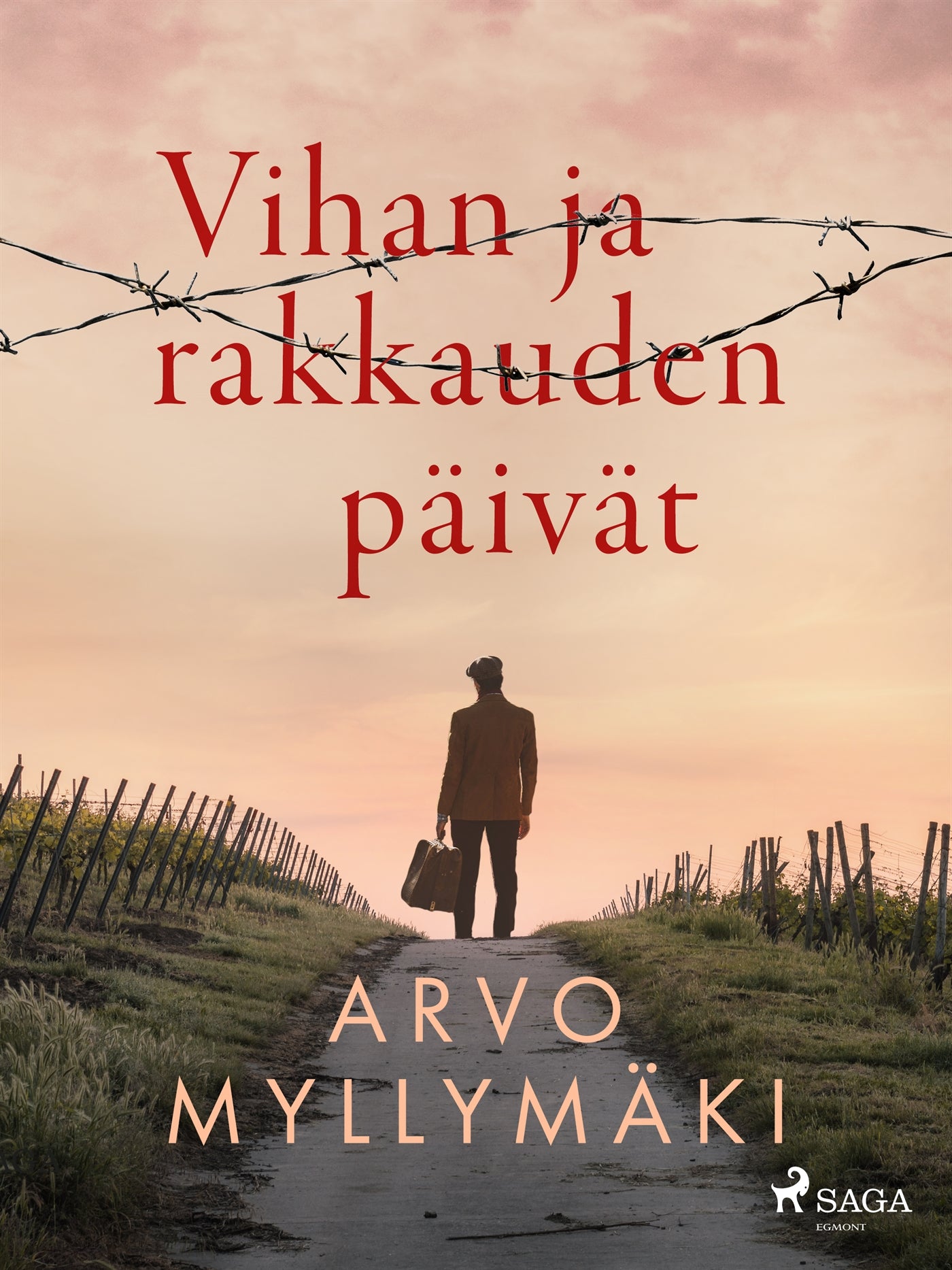 Vihan ja rakkauden päivät – E-bok