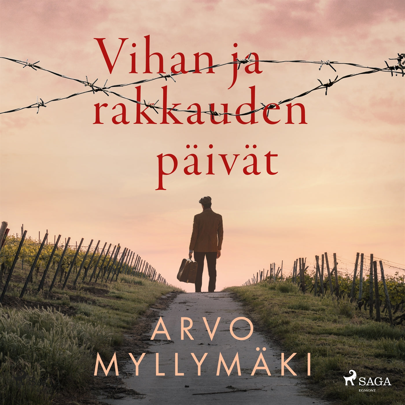 Vihan ja rakkauden päivät – Ljudbok
