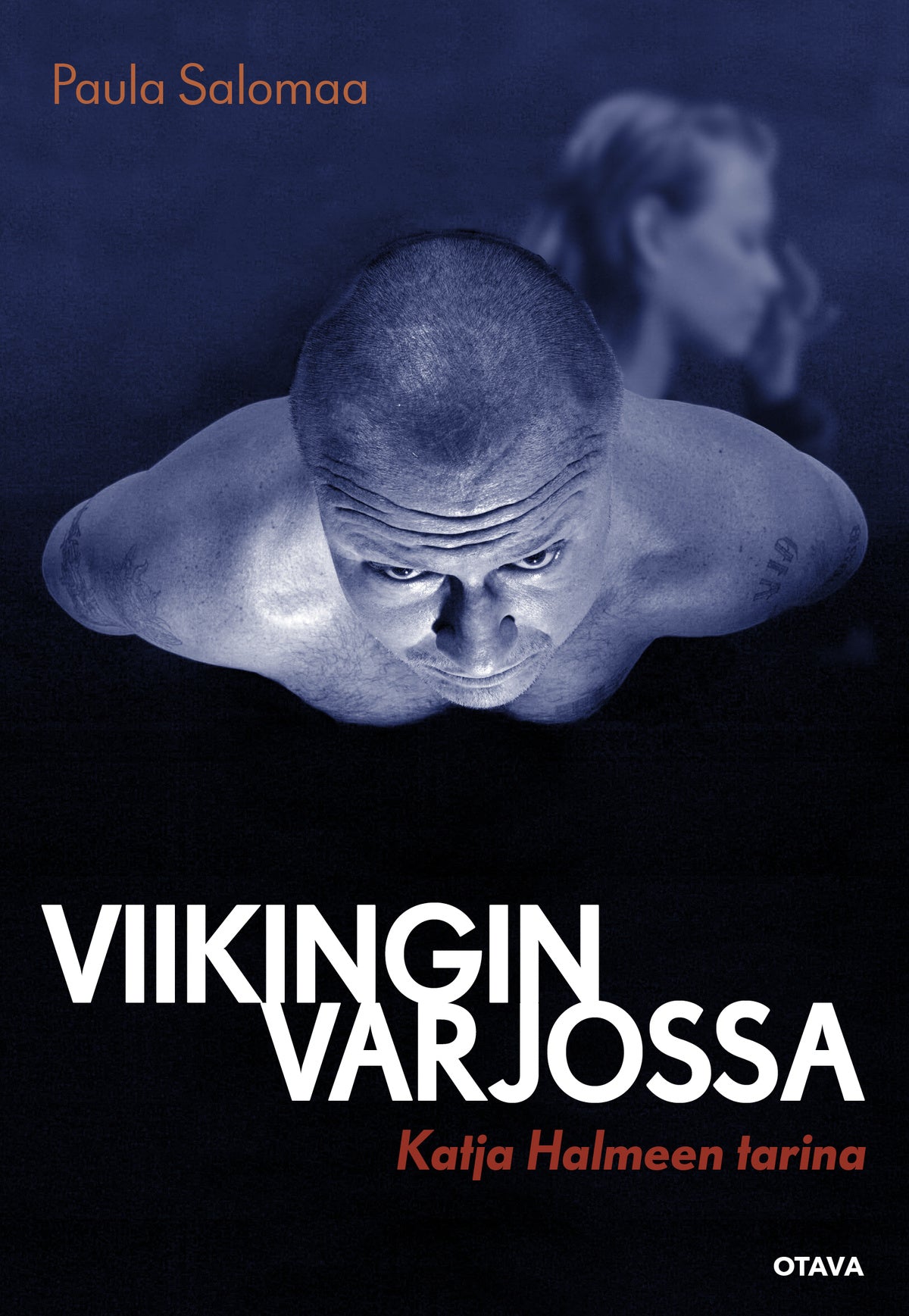 Viikingin varjossa – E-bok