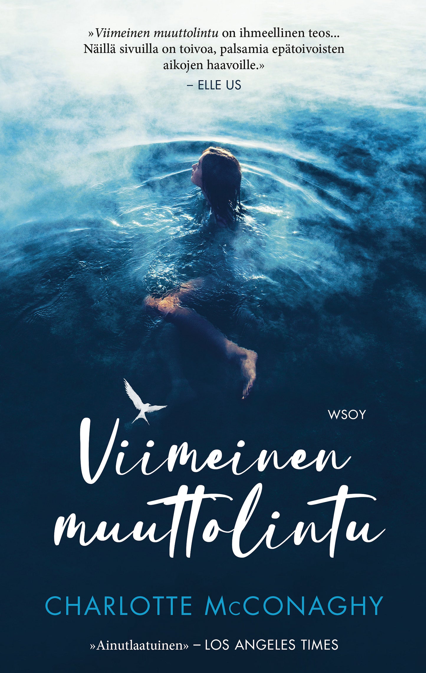 Viimeinen muuttolintu – E-bok