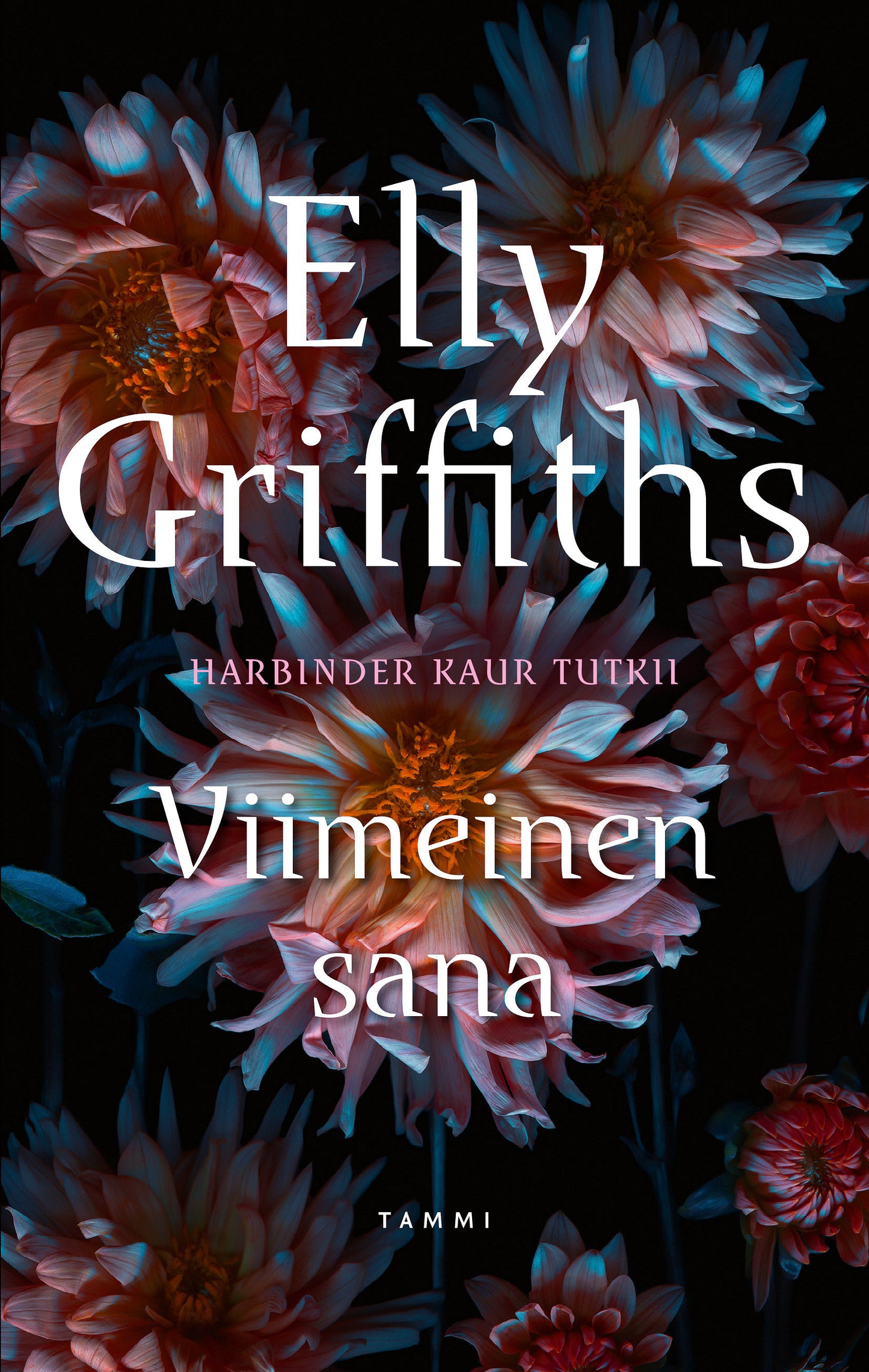 Viimeinen sana – E-bok