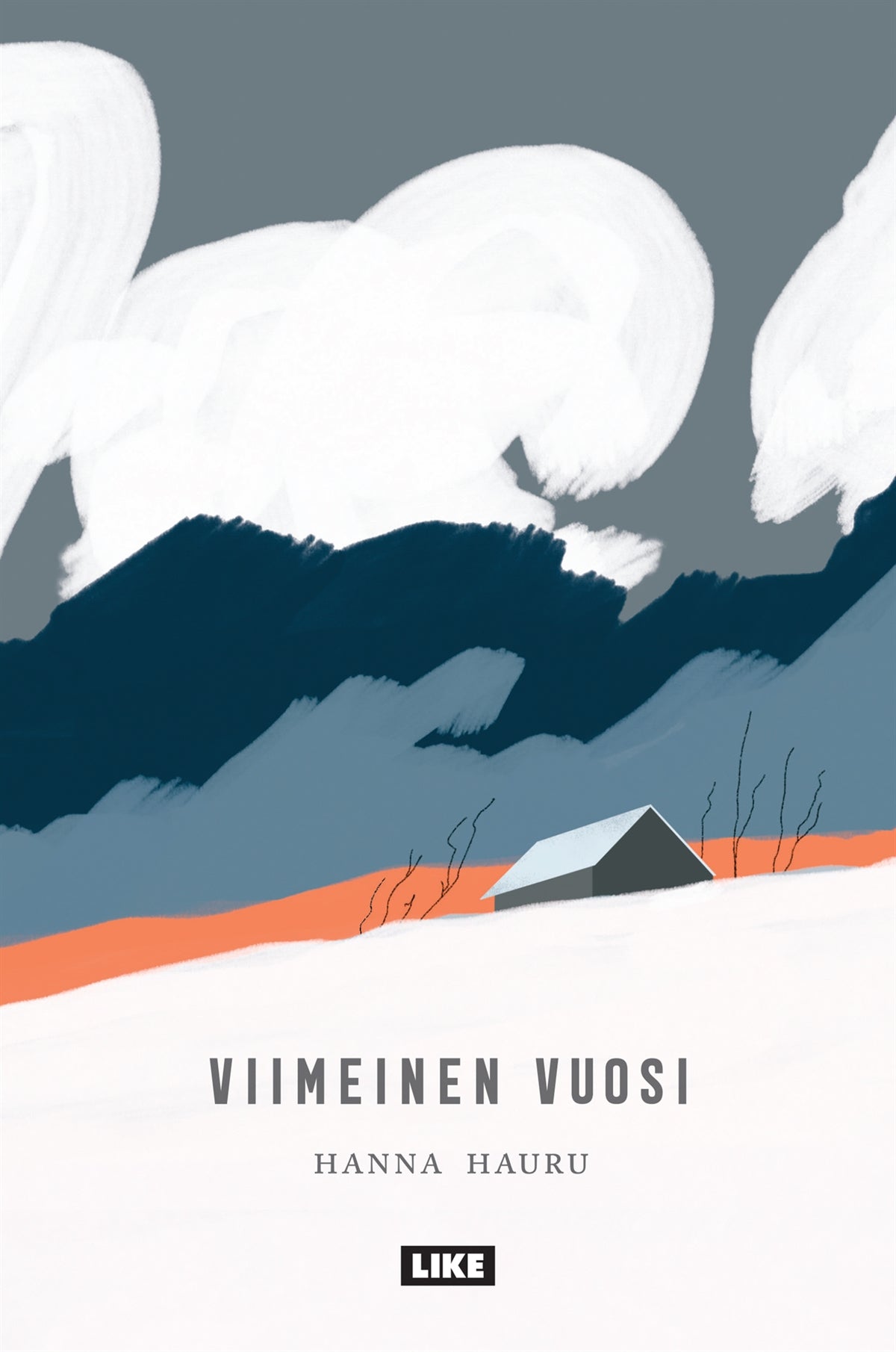 Viimeinen vuosi – E-bok