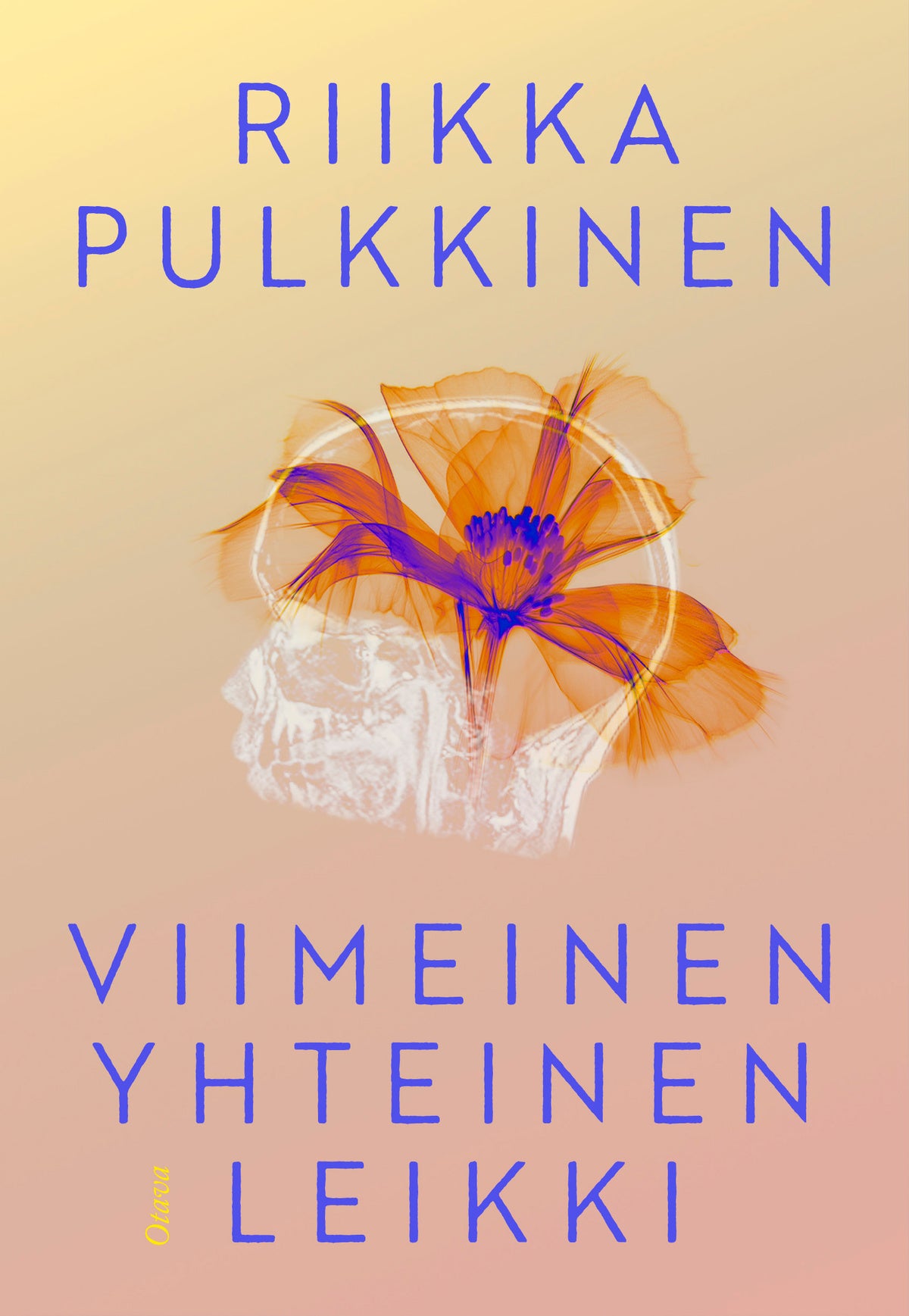 Viimeinen yhteinen leikki – E-bok