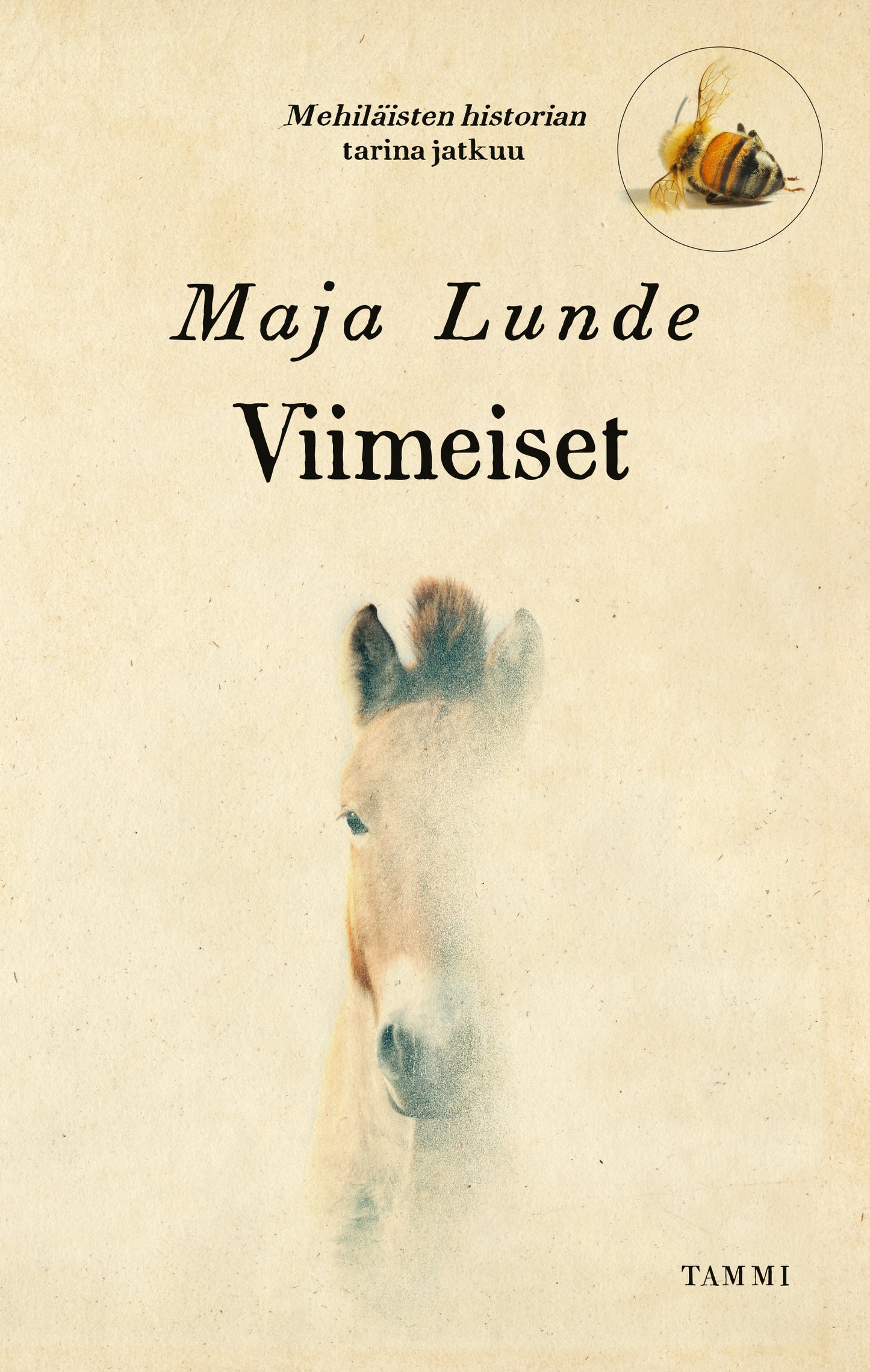 Viimeiset – E-bok