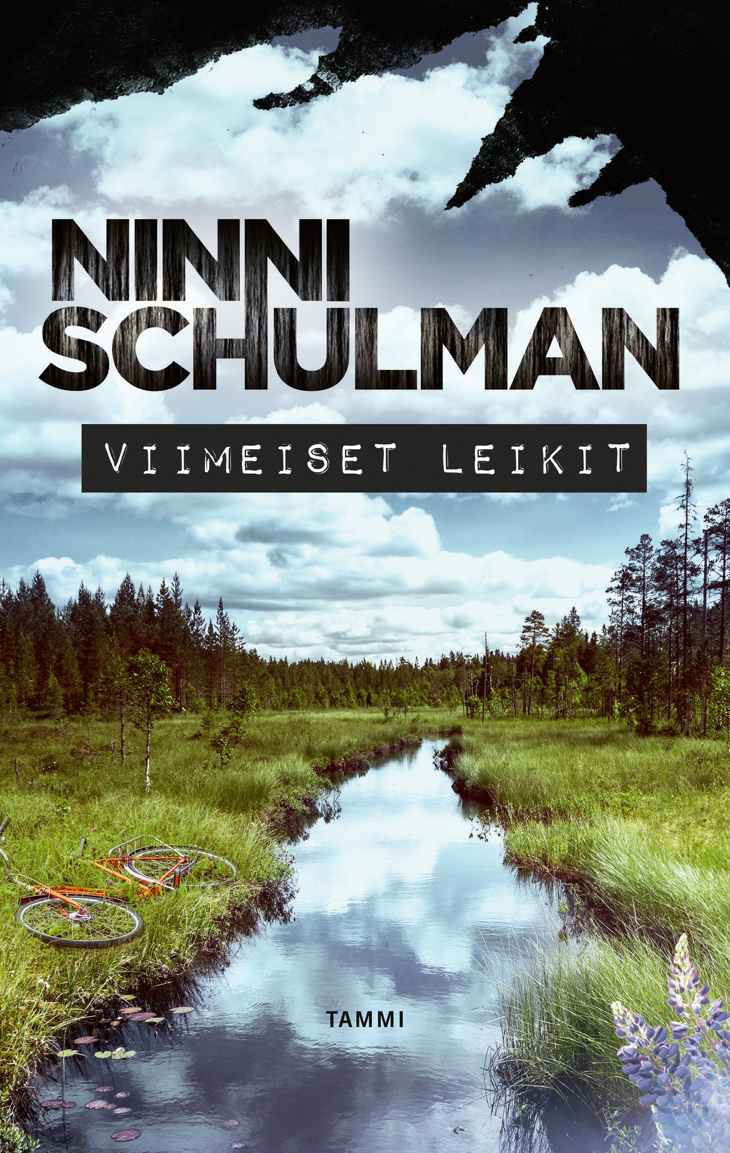 Viimeiset leikit – E-bok