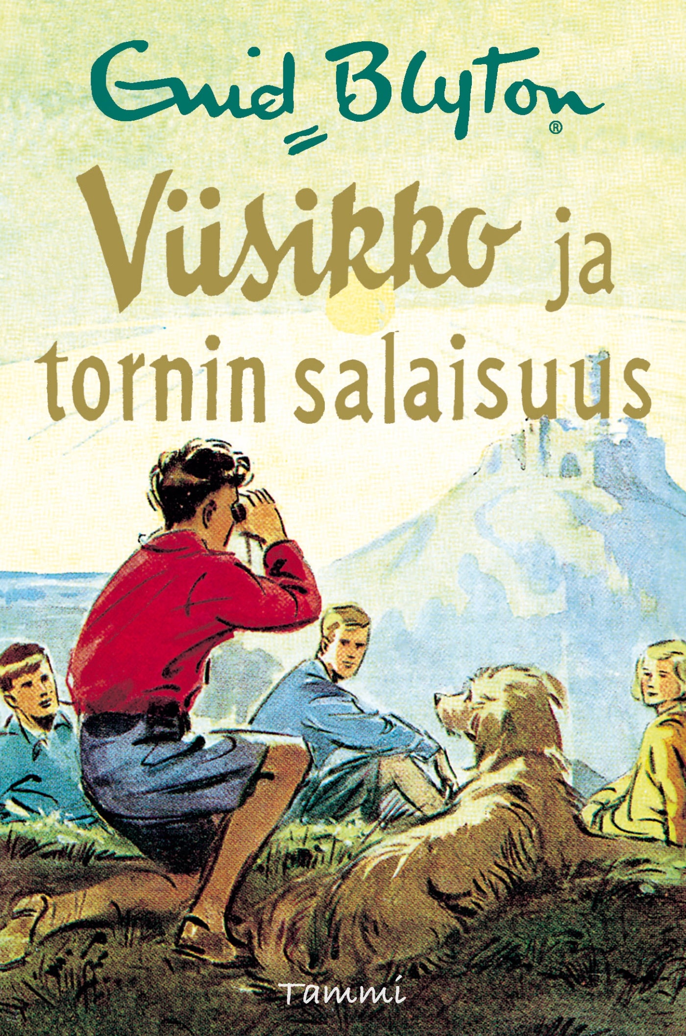 Viisikko ja tornin salaisuus – E-bok