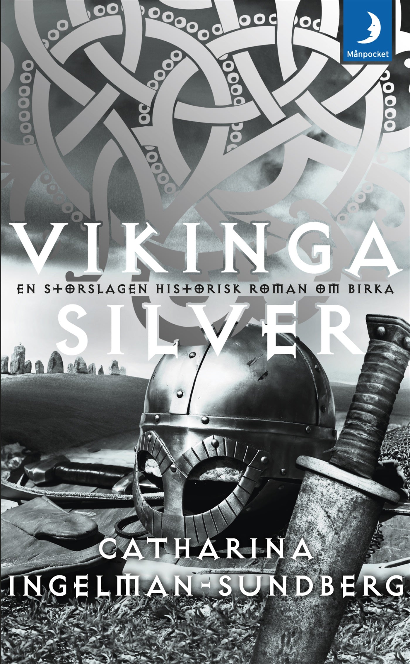 Vikingasilver – E-bok