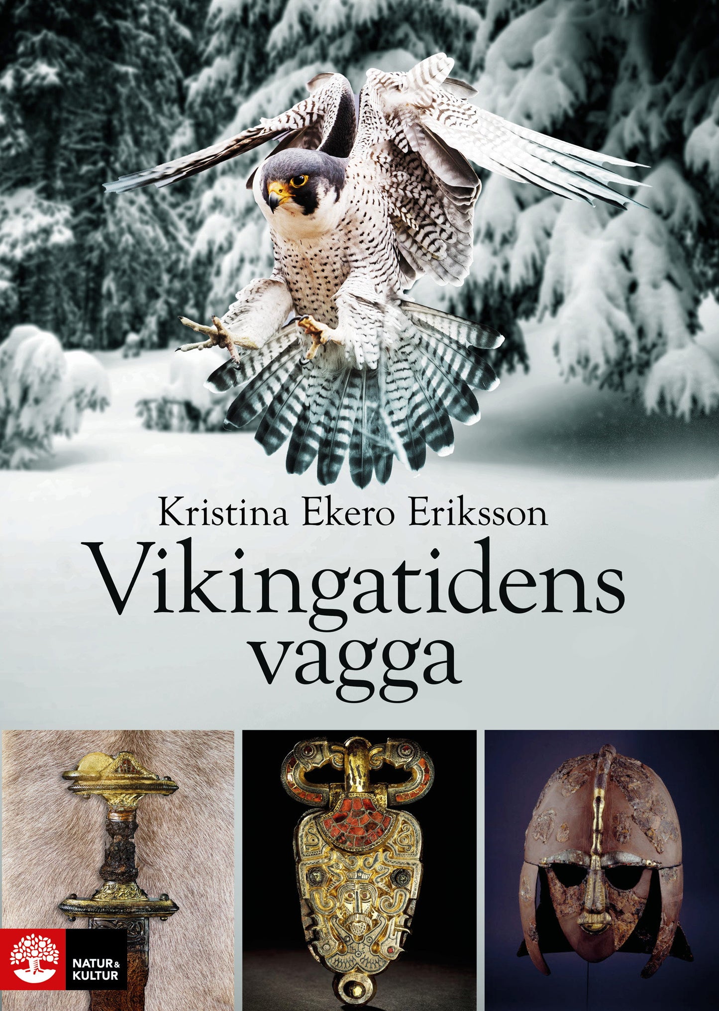 Vikingatidens vagga : i vendeltidens värld – E-bok