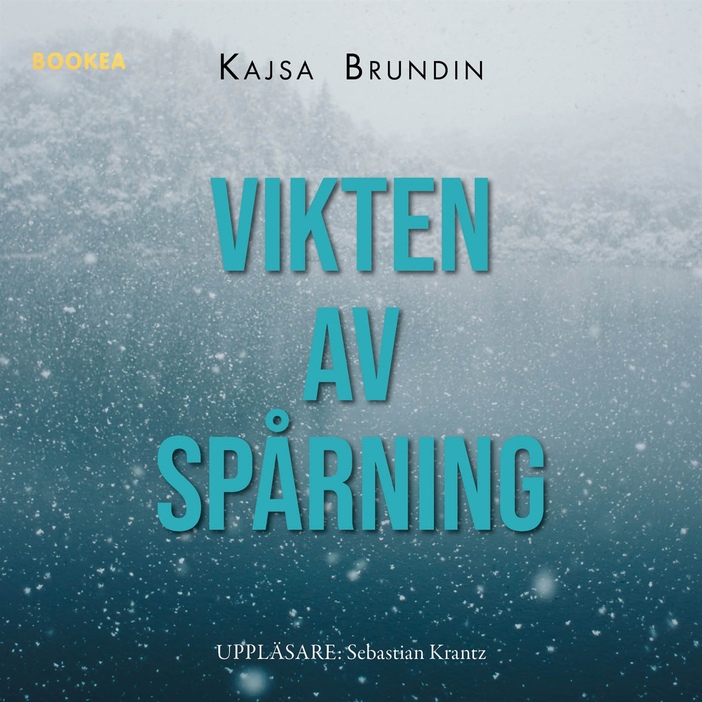 Vikten av spårning – Ljudbok
